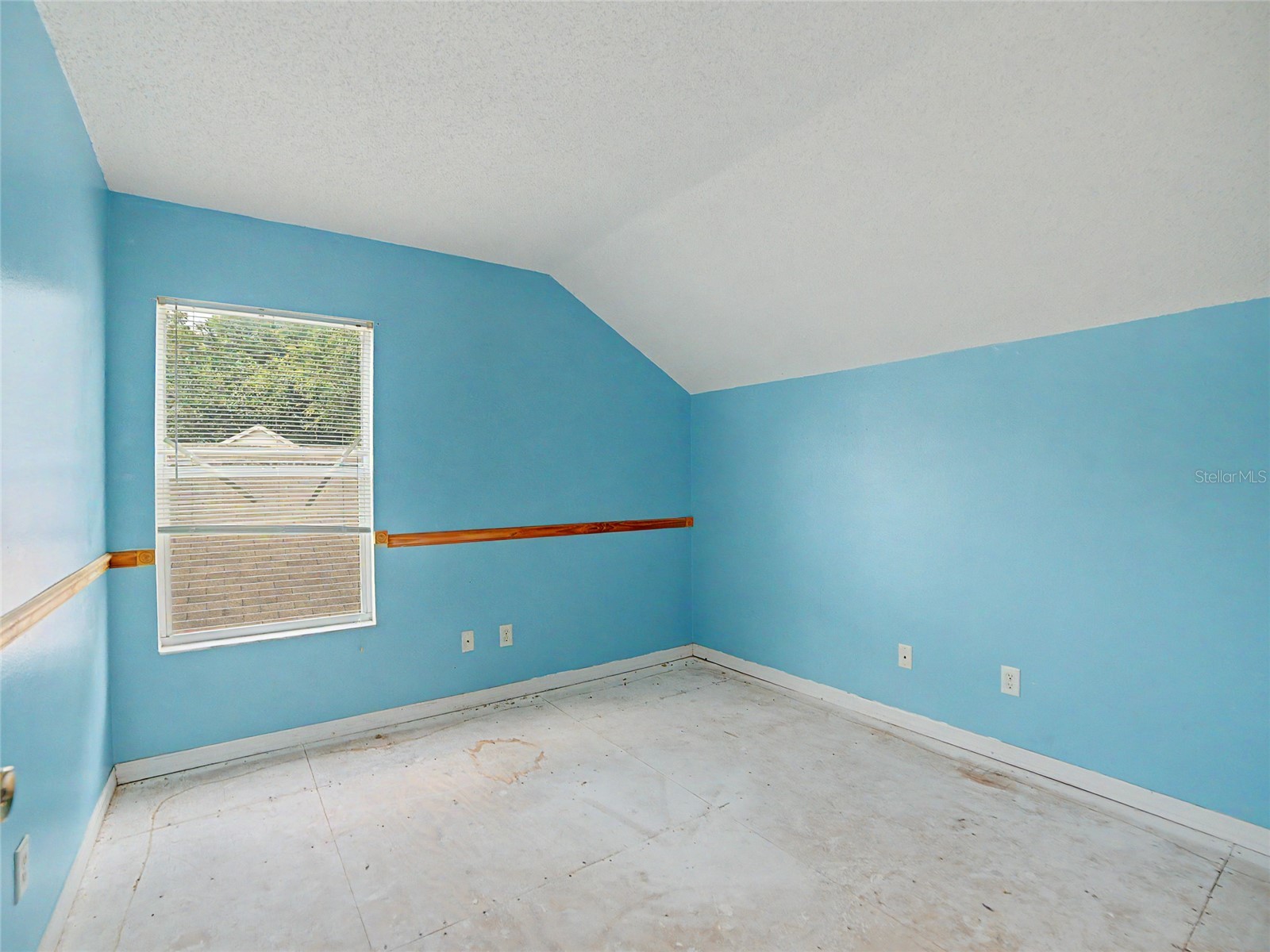 6131 Sand Key Lane Wesley Chapel FL 33545 TB8520339 image13