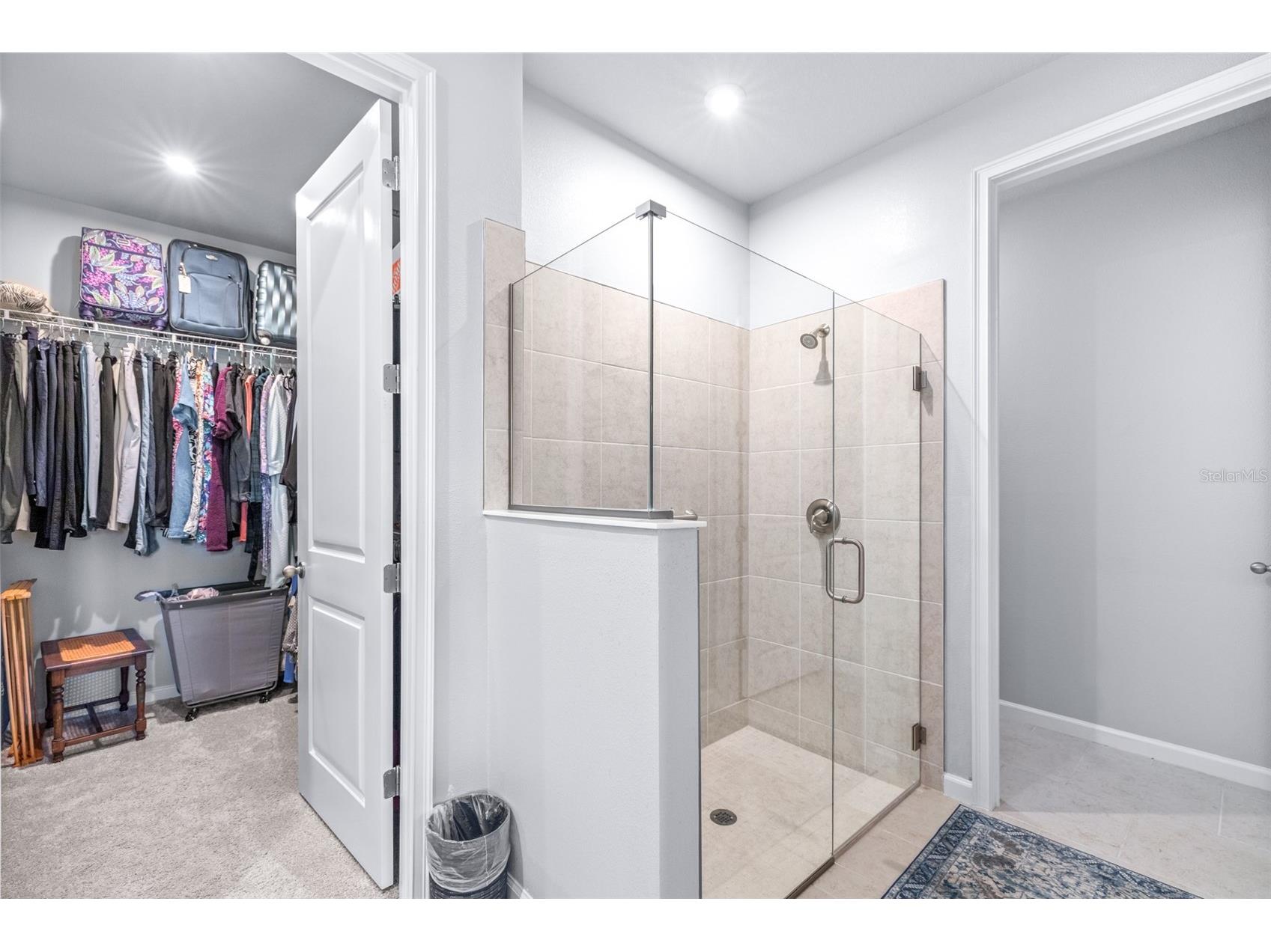 6131 Timberdale Avenue Wesley Chapel FL 33545 TB8499801 image24