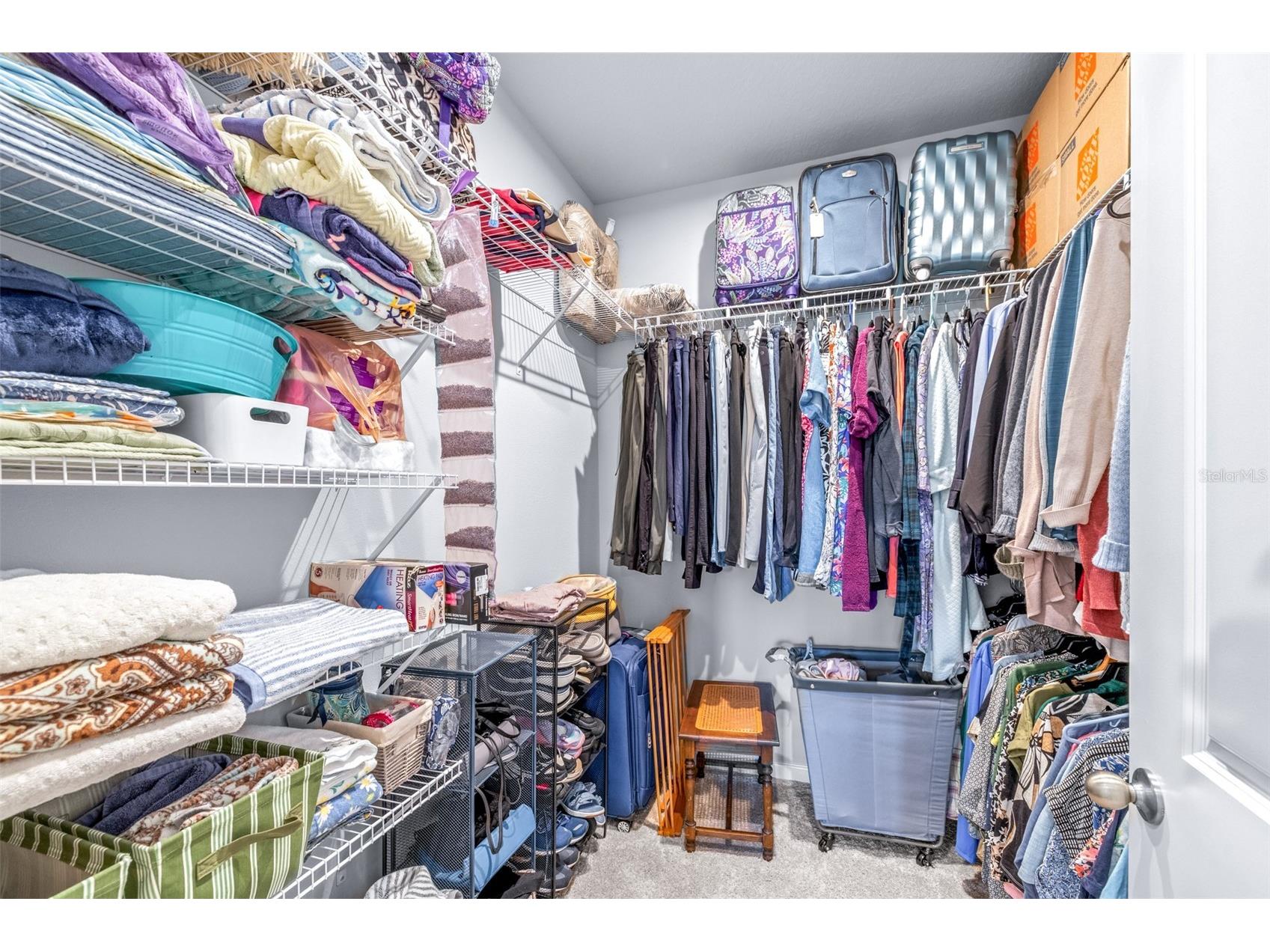 6131 Timberdale Avenue Wesley Chapel FL 33545 TB8499801 image27