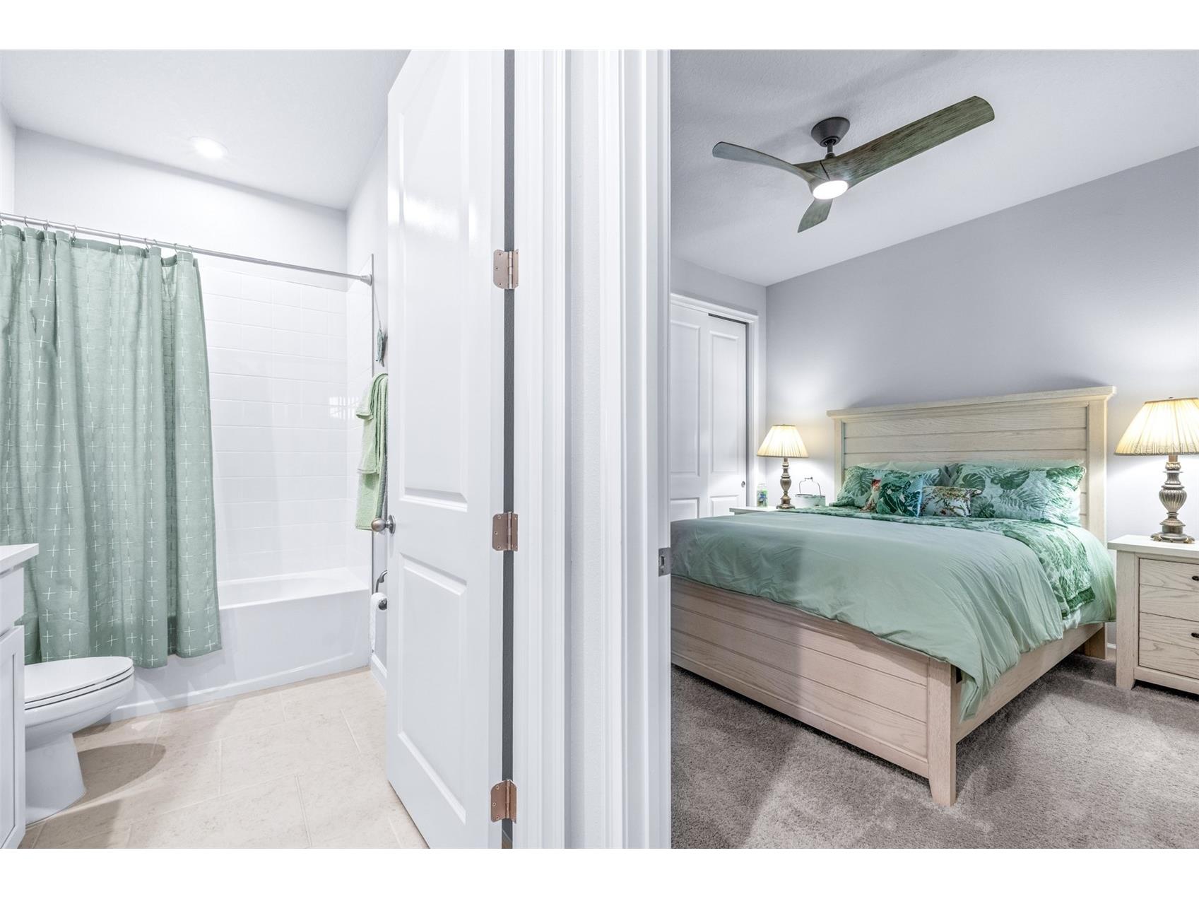 6131 Timberdale Avenue Wesley Chapel FL 33545 TB8499801 image31