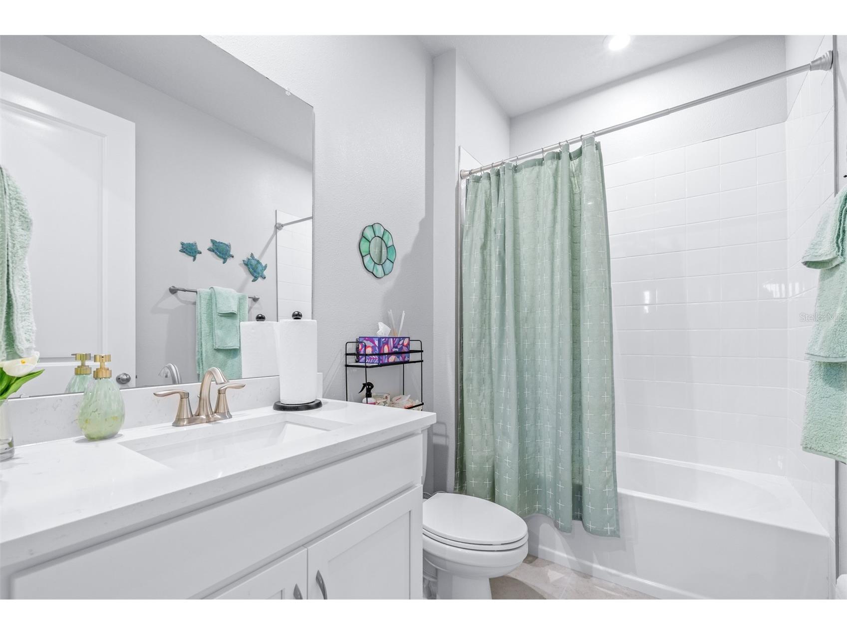 6131 Timberdale Avenue Wesley Chapel FL 33545 TB8499801 image32