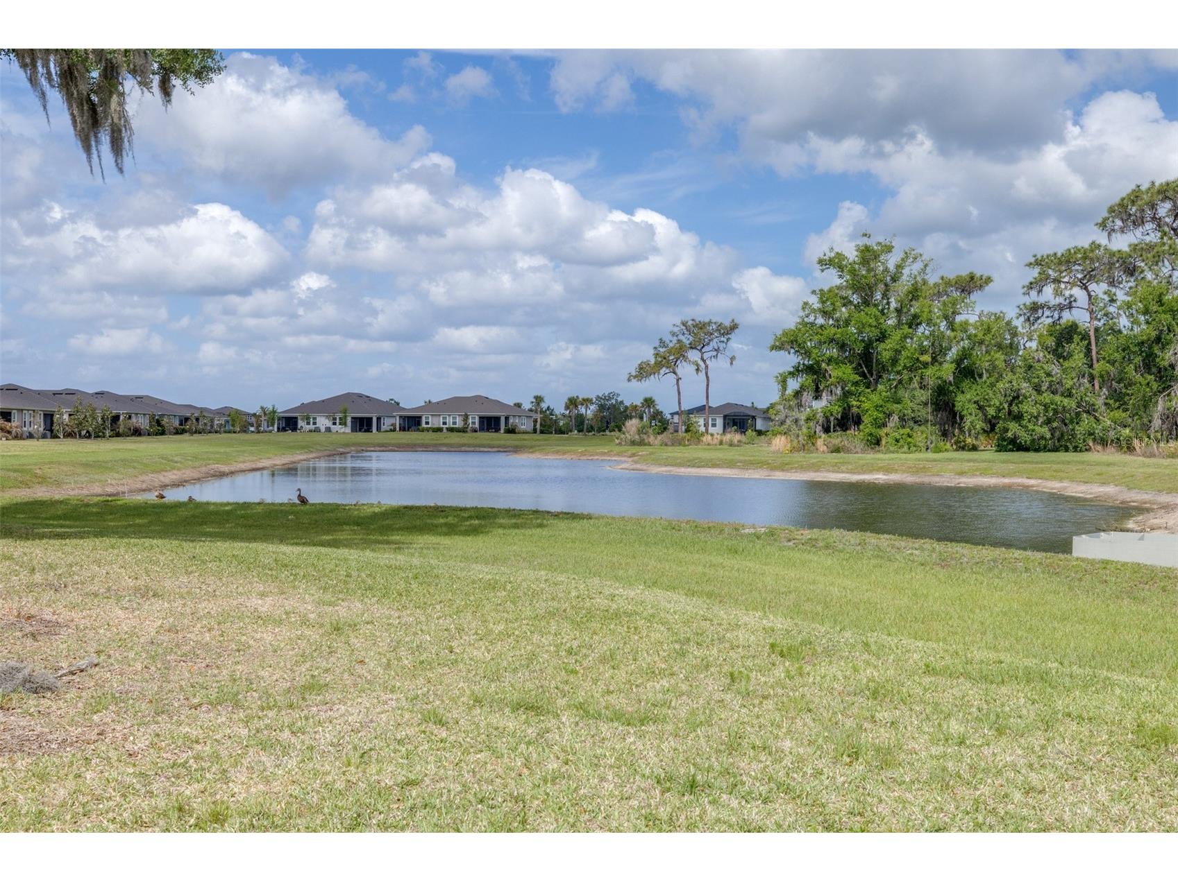 6131 Timberdale Avenue Wesley Chapel FL 33545 TB8499801 image38