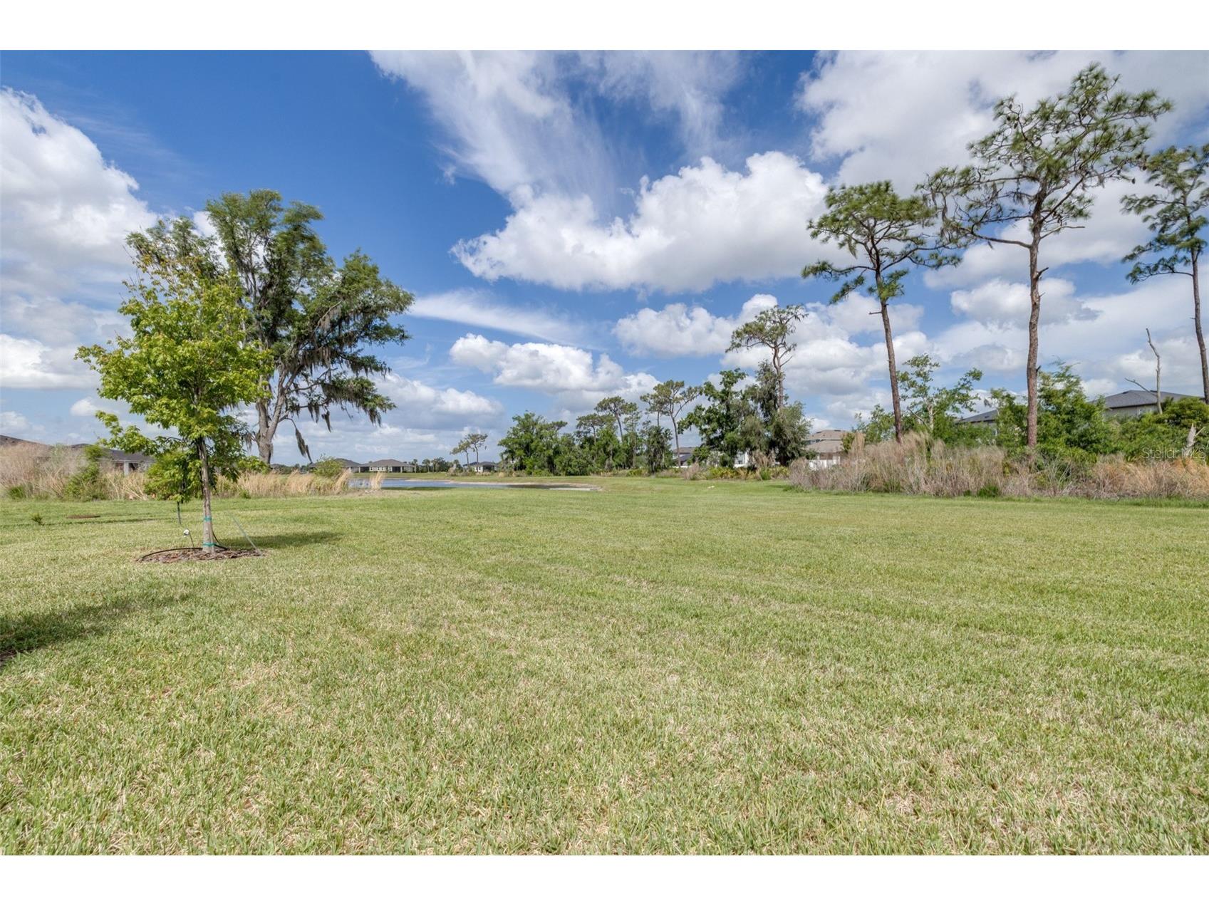 6131 Timberdale Avenue Wesley Chapel FL 33545 TB8499801 image39
