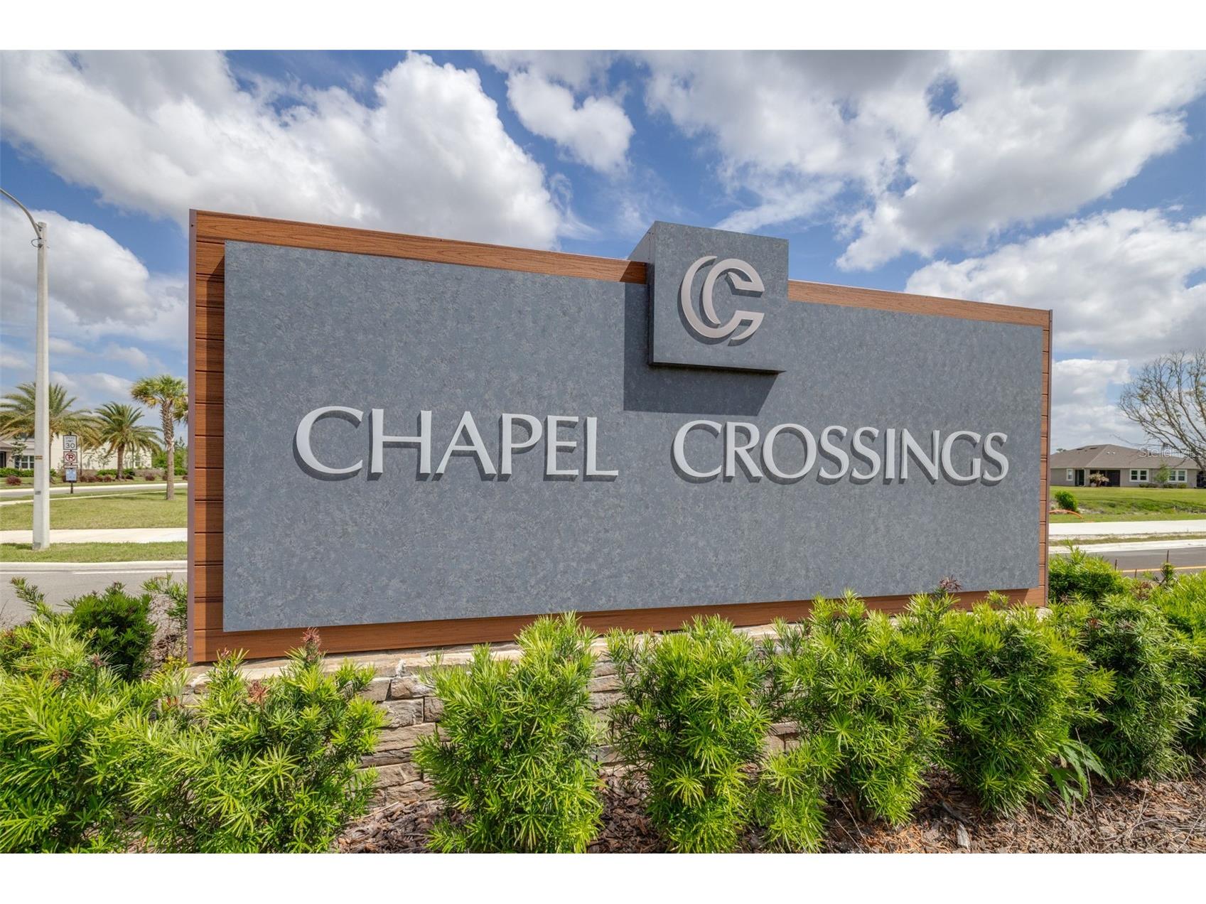 6131 Timberdale Avenue Wesley Chapel FL 33545 TB8499801 image40