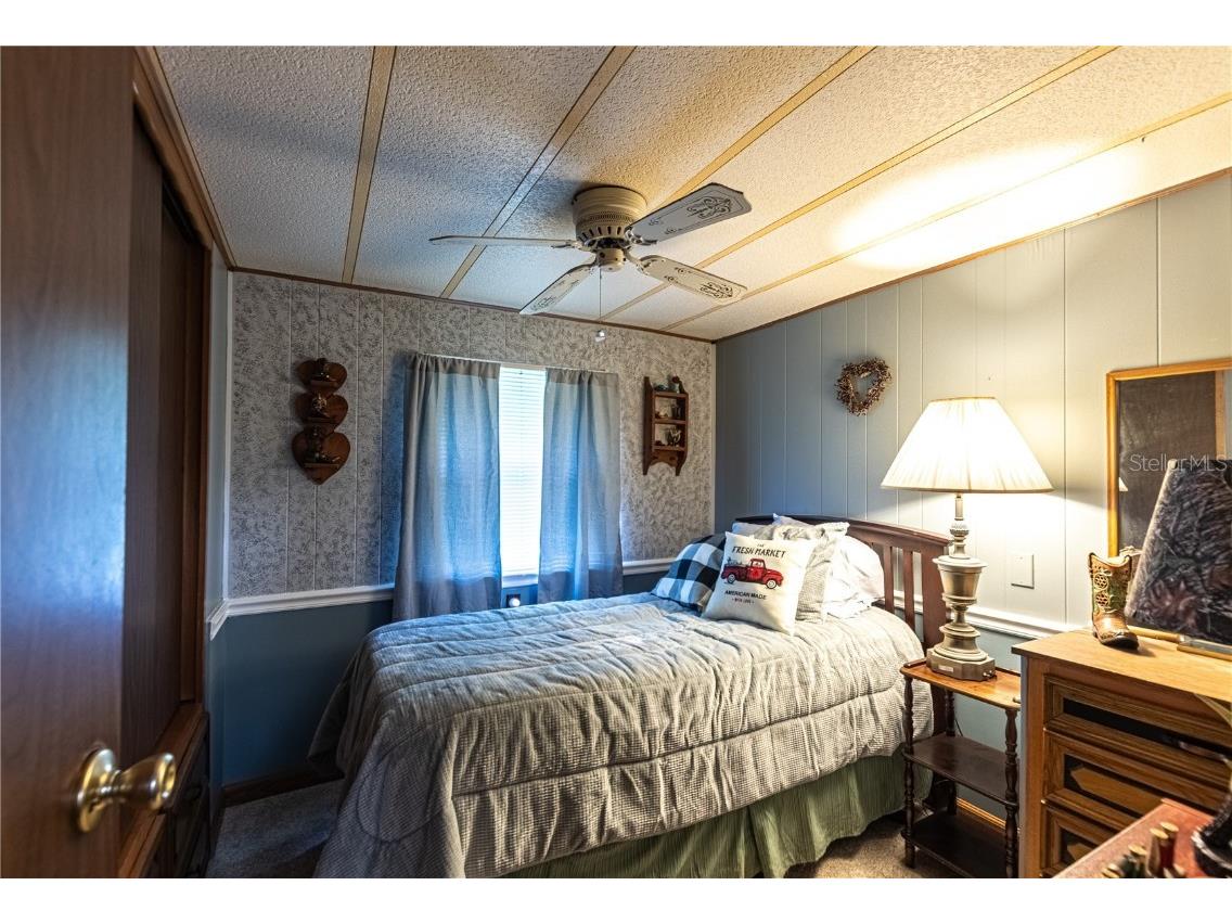 6132 Harriet Street Zephyrhills FL 33542 TB8422123 image24