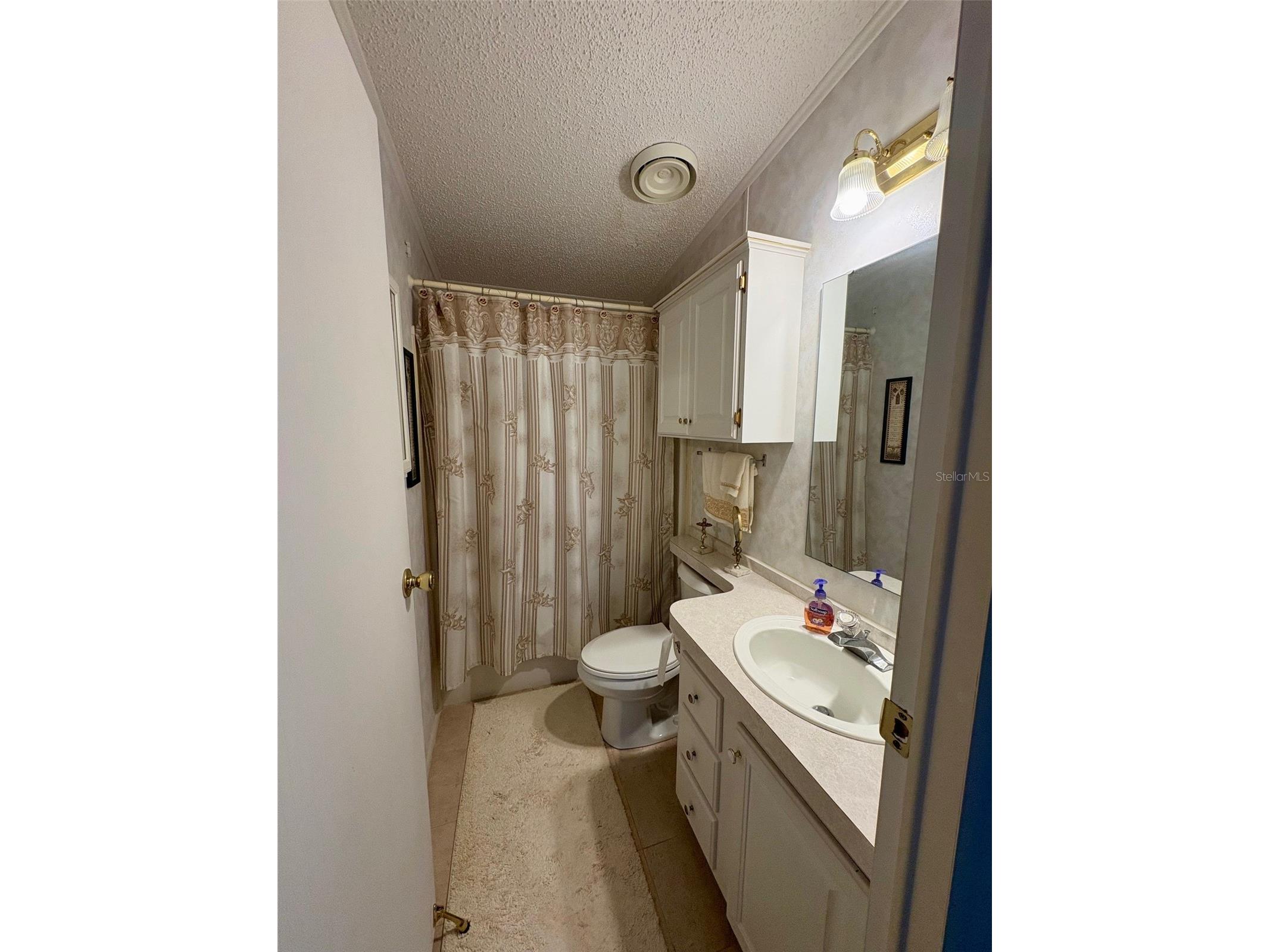 6133 Grand Oaks Drive SE Winter Haven FL 33884 L4959932 image21