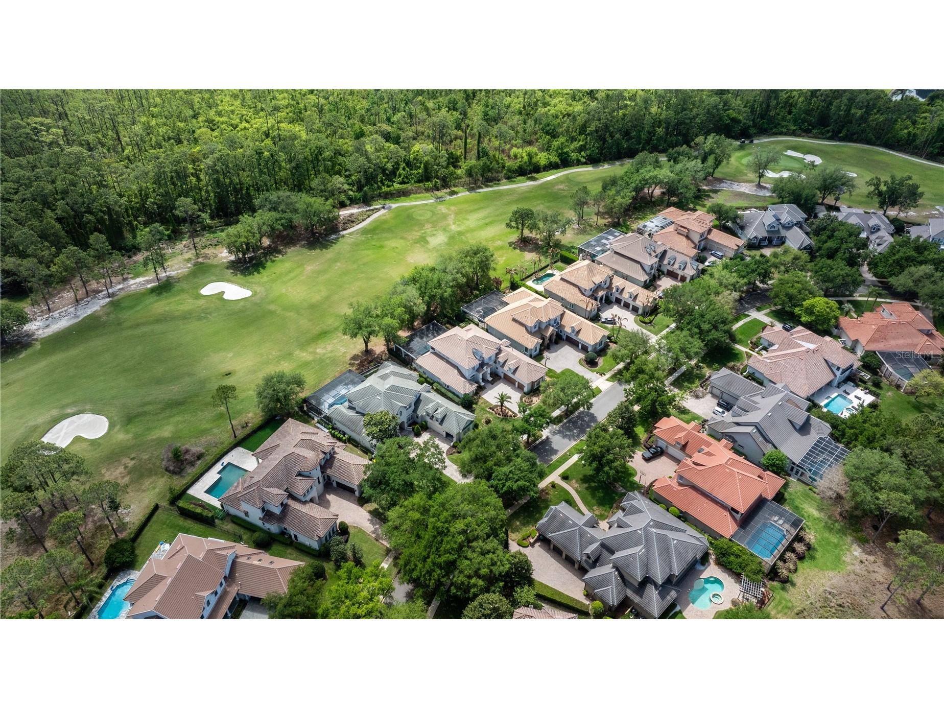 6133 S Hampshire Court Windermere FL 34786 O6397043 image65
