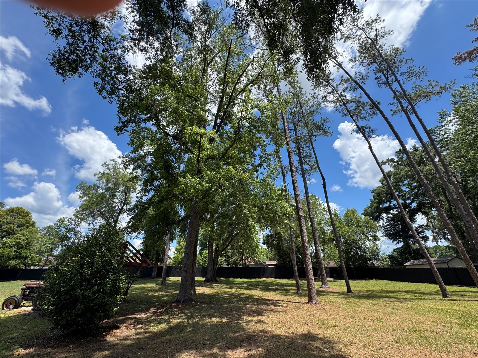 6133 SE 123rd Lane Belleview FL 34420 OM725704 image26