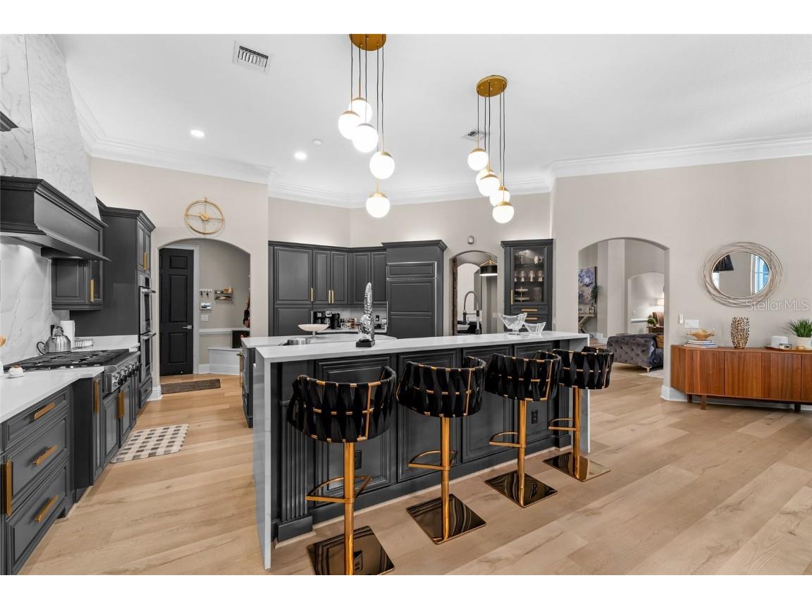 6134 Keenes Pointe Drive Windermere FL 34786 O6345101 image13