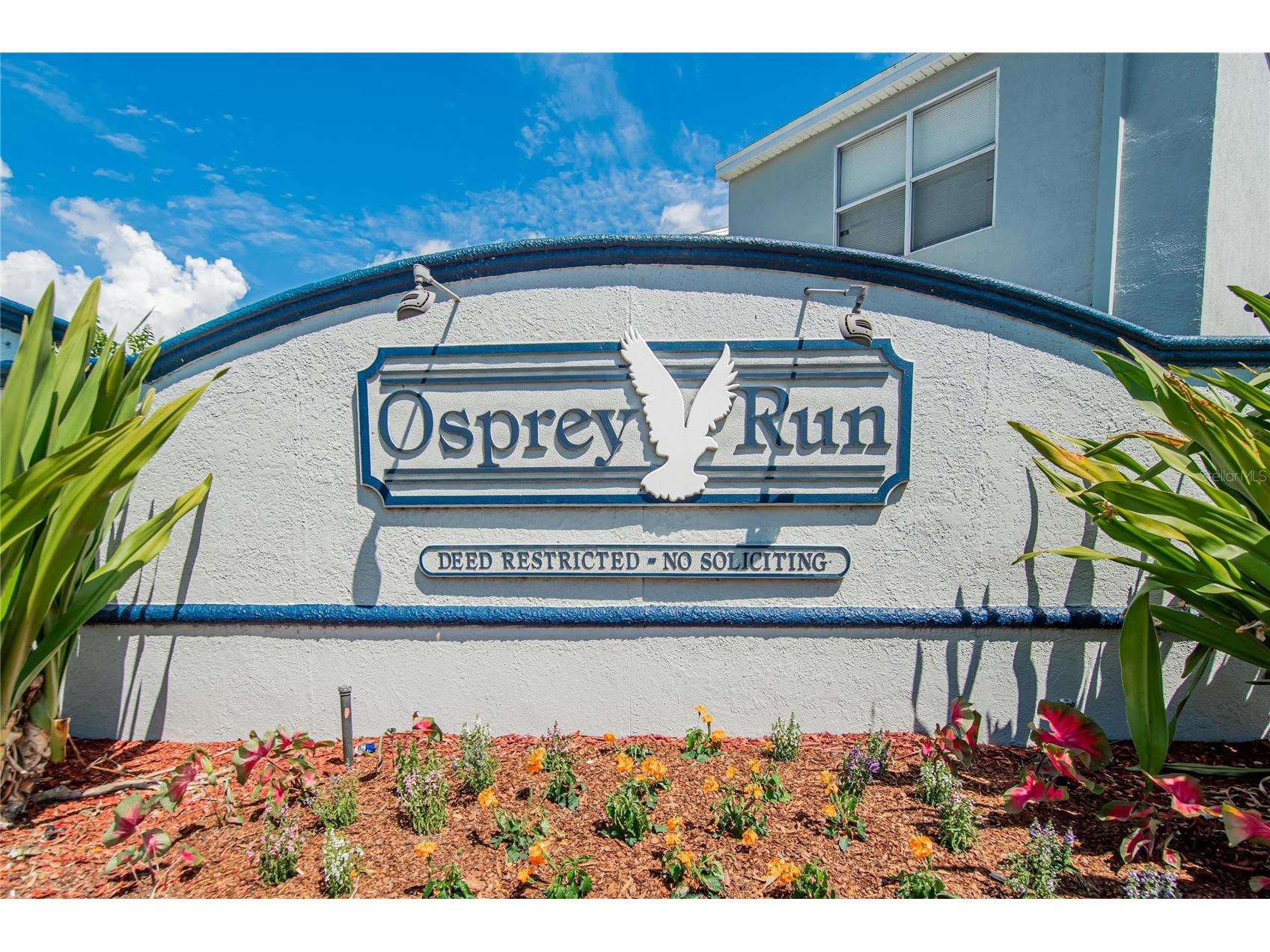 6134 Osprey Lake Circle Riverview FL 33578 TB8527638 image2