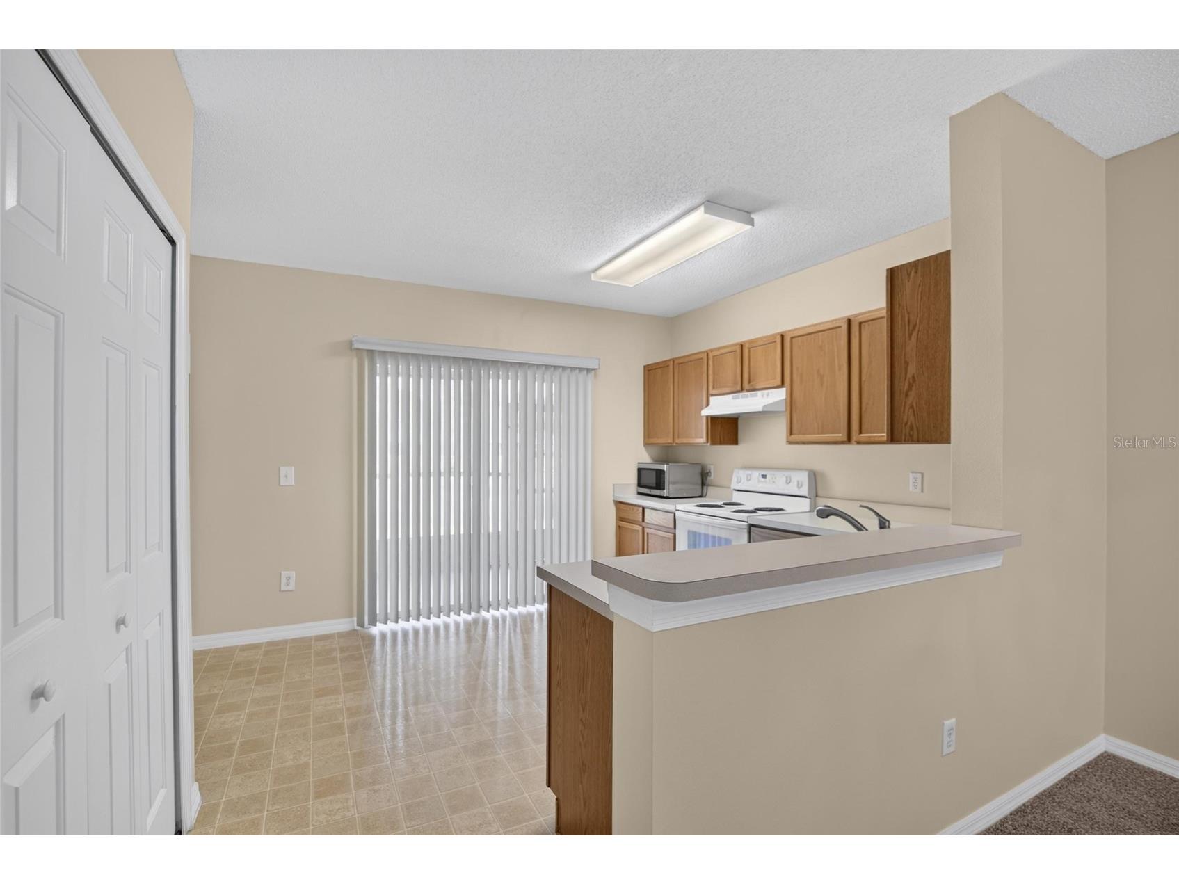6134 Osprey Lake Circle Riverview FL 33578 TB8527638 image21