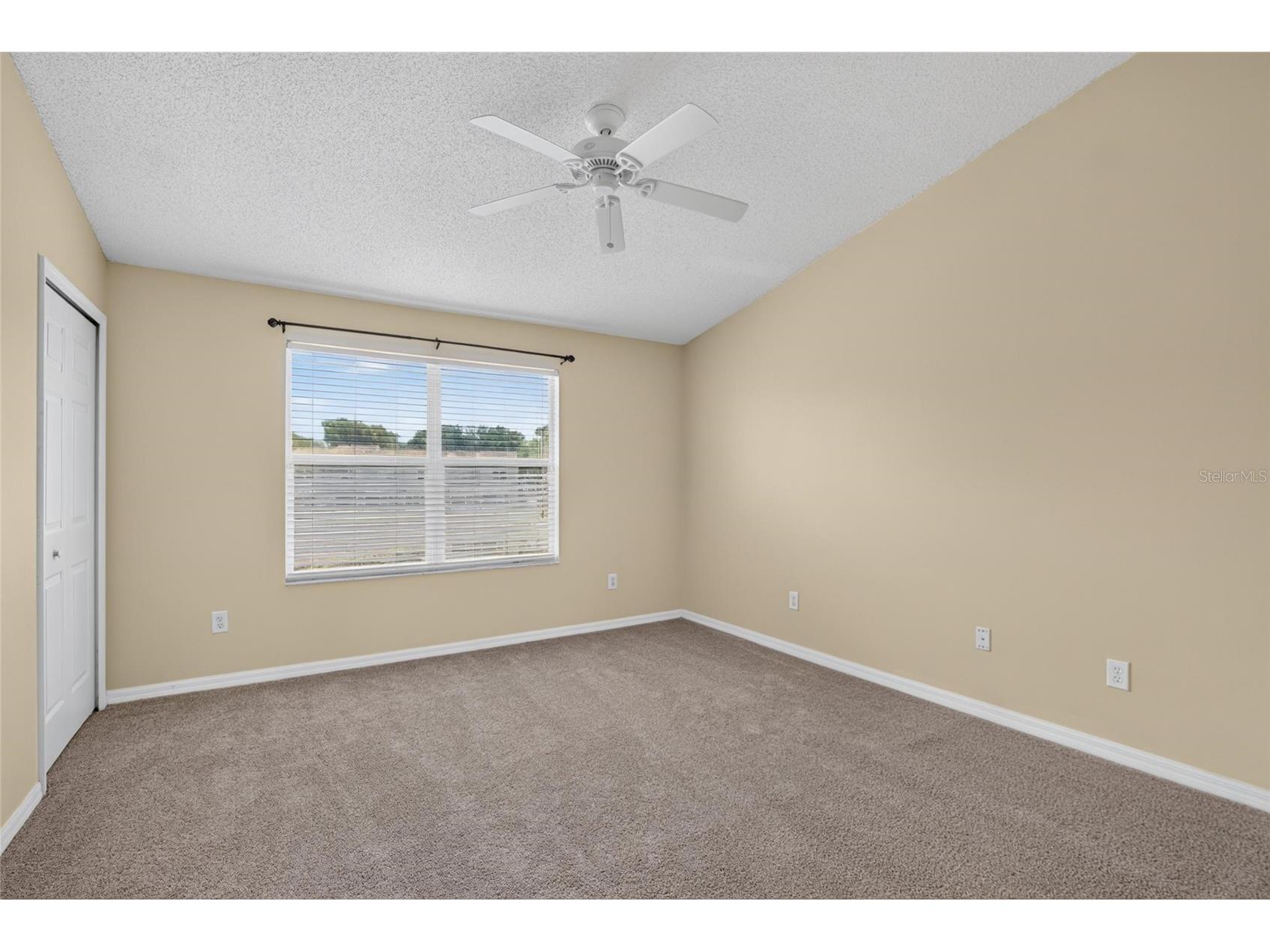 6134 Osprey Lake Circle Riverview FL 33578 TB8527638 image36