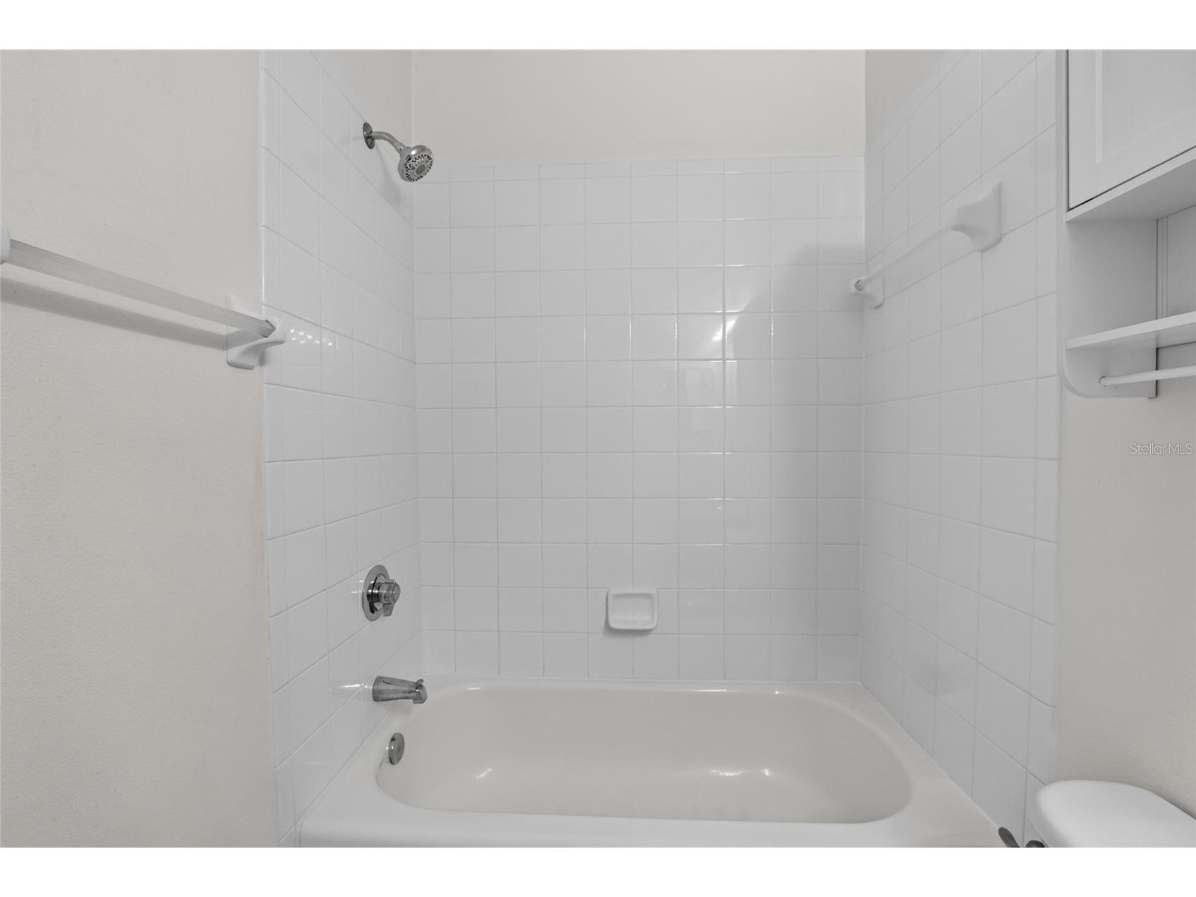 6134 Osprey Lake Circle Riverview FL 33578 TB8527638 image43