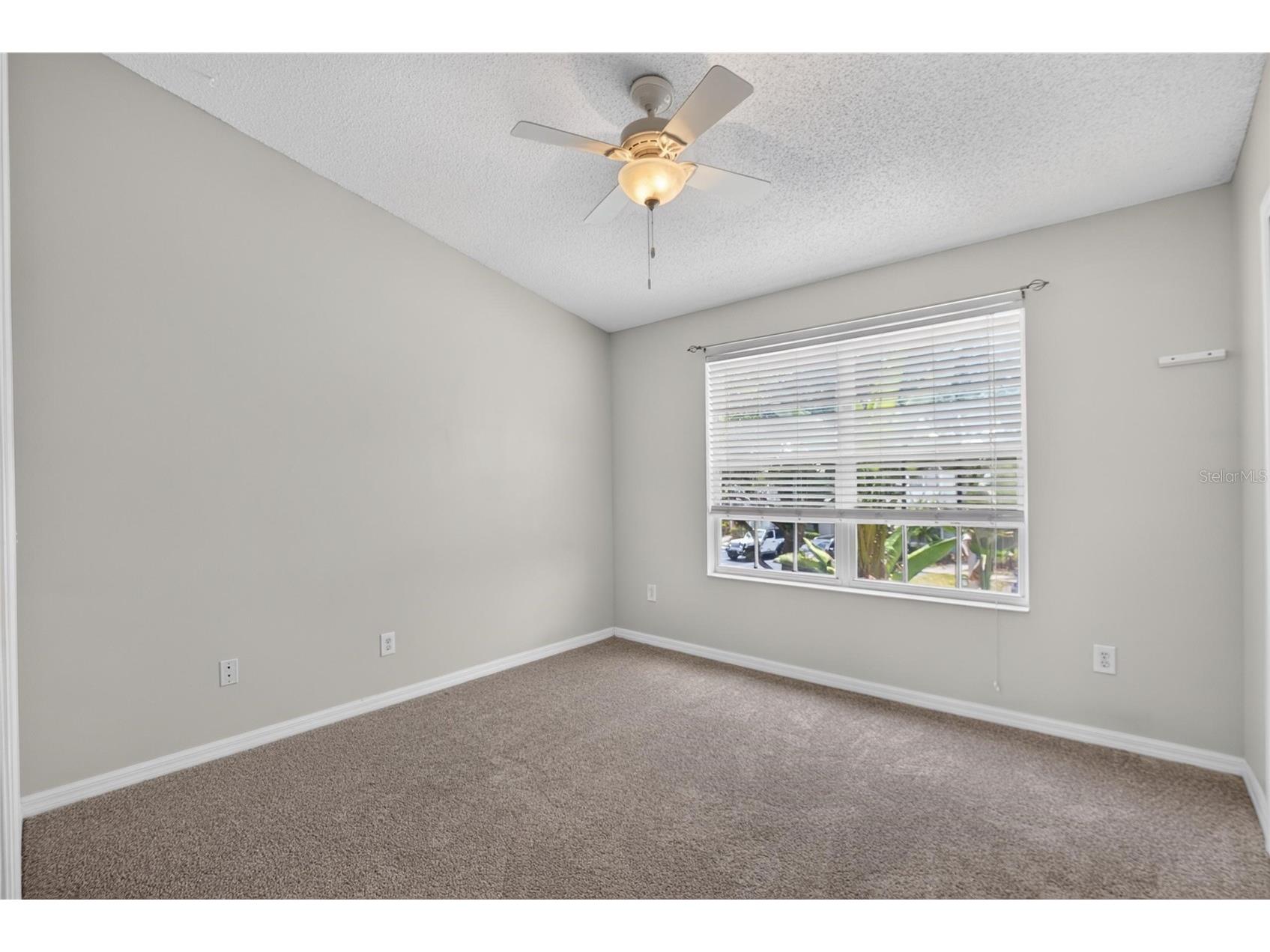 6134 Osprey Lake Circle Riverview FL 33578 TB8527638 image46