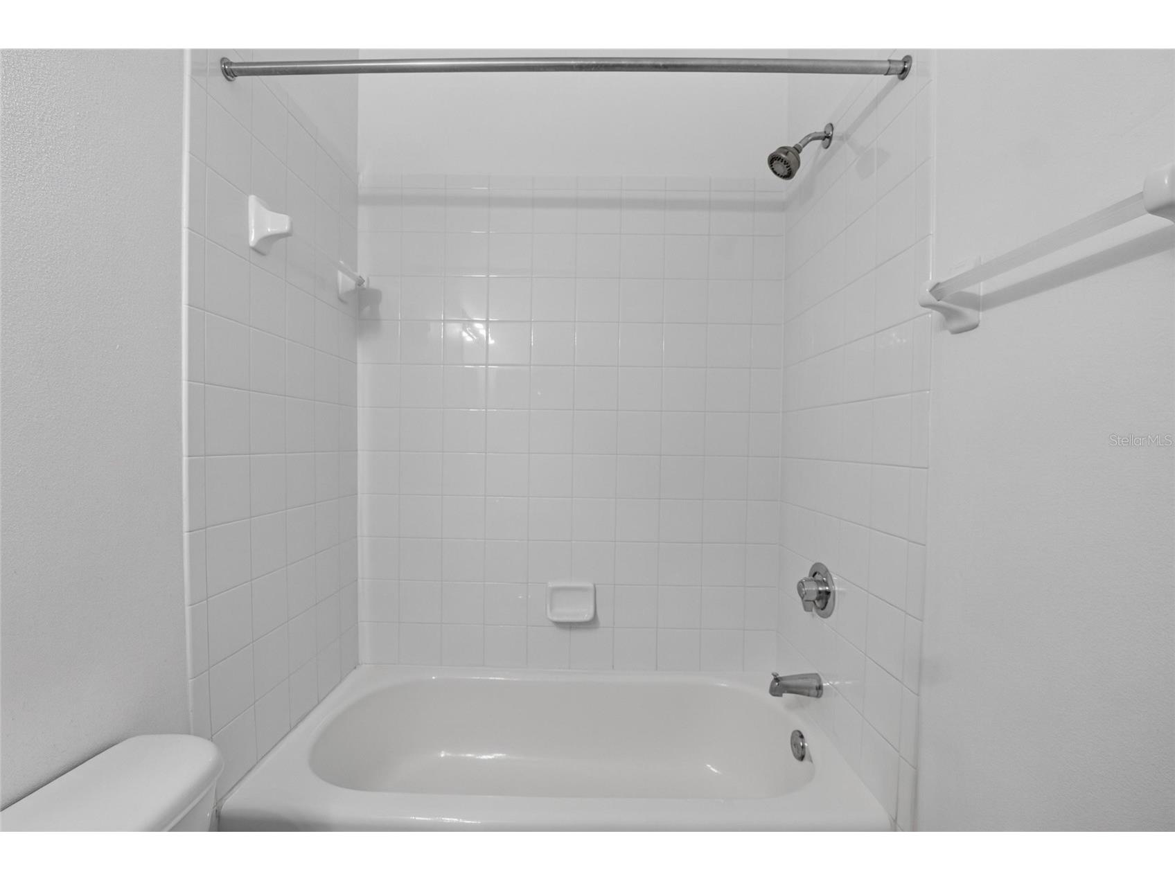6134 Osprey Lake Circle Riverview FL 33578 TB8527638 image53