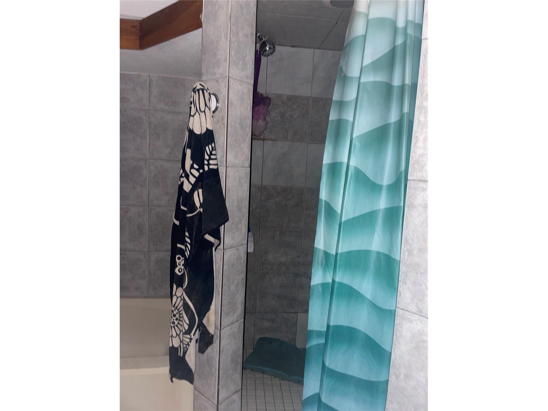 6134 Pinehurst Drive Spring Hill FL 34606 TB8494586 image22