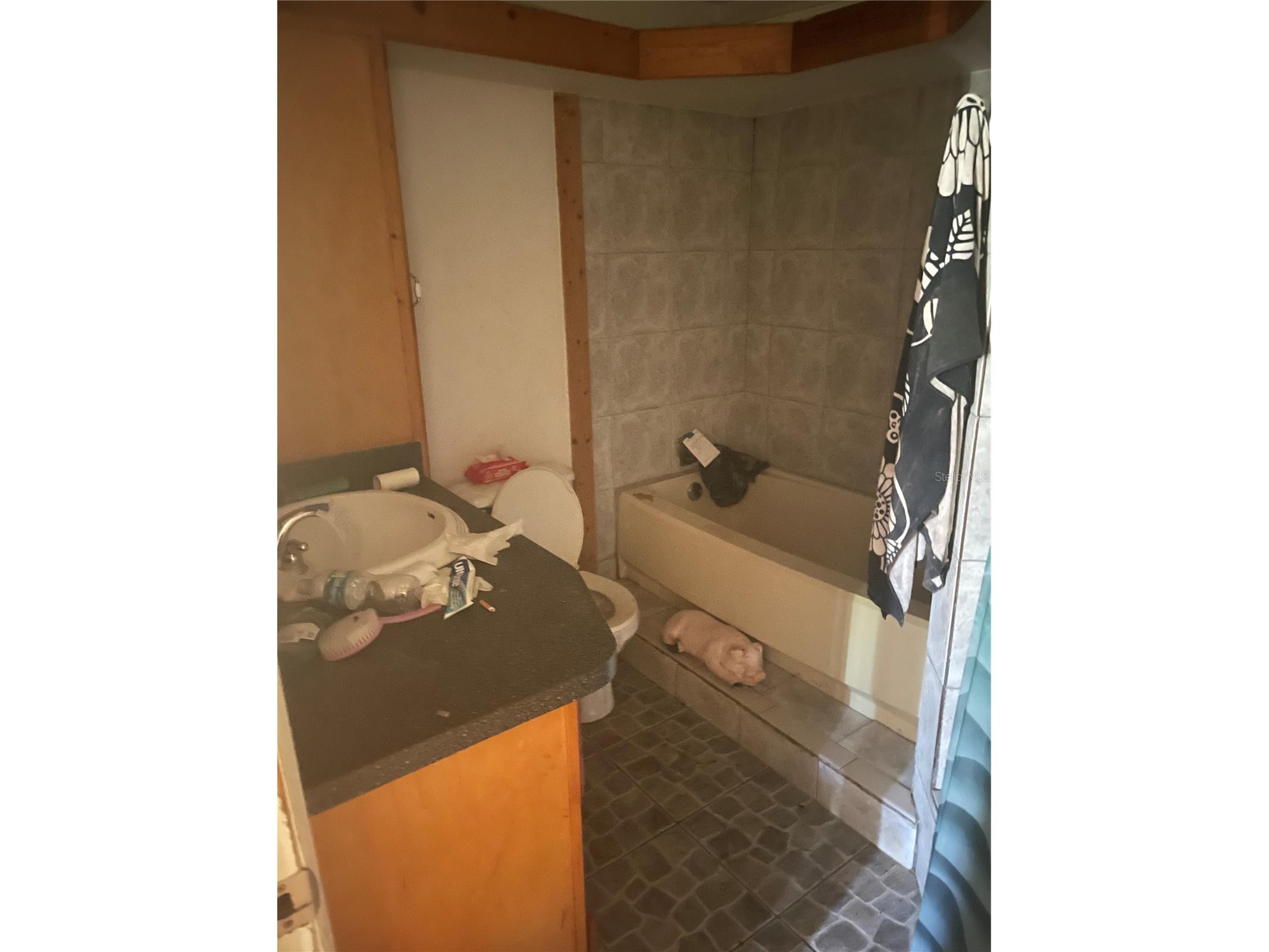 6134 Pinehurst Drive Spring Hill FL 34606 TB8494586 image27