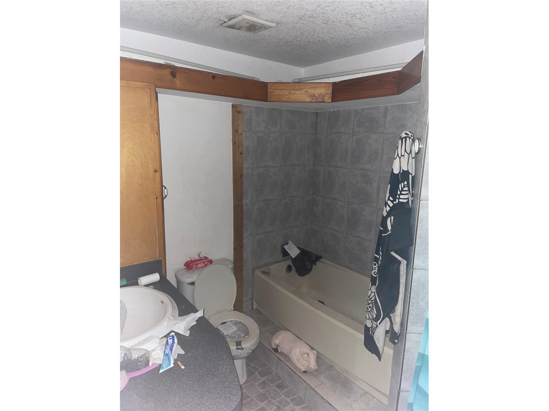 6134 Pinehurst Drive Spring Hill FL 34606 TB8494586 image28