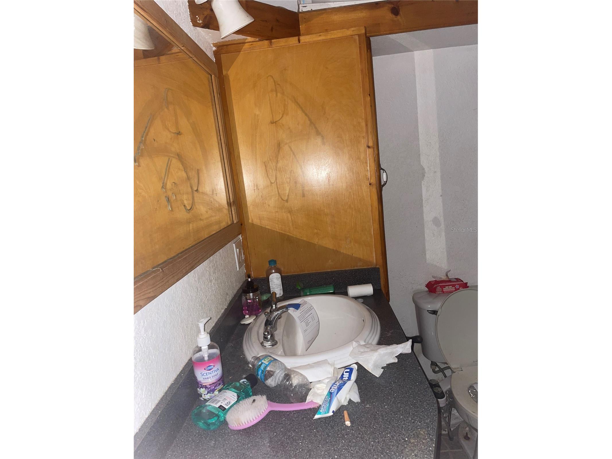 6134 Pinehurst Drive Spring Hill FL 34606 TB8494586 image29