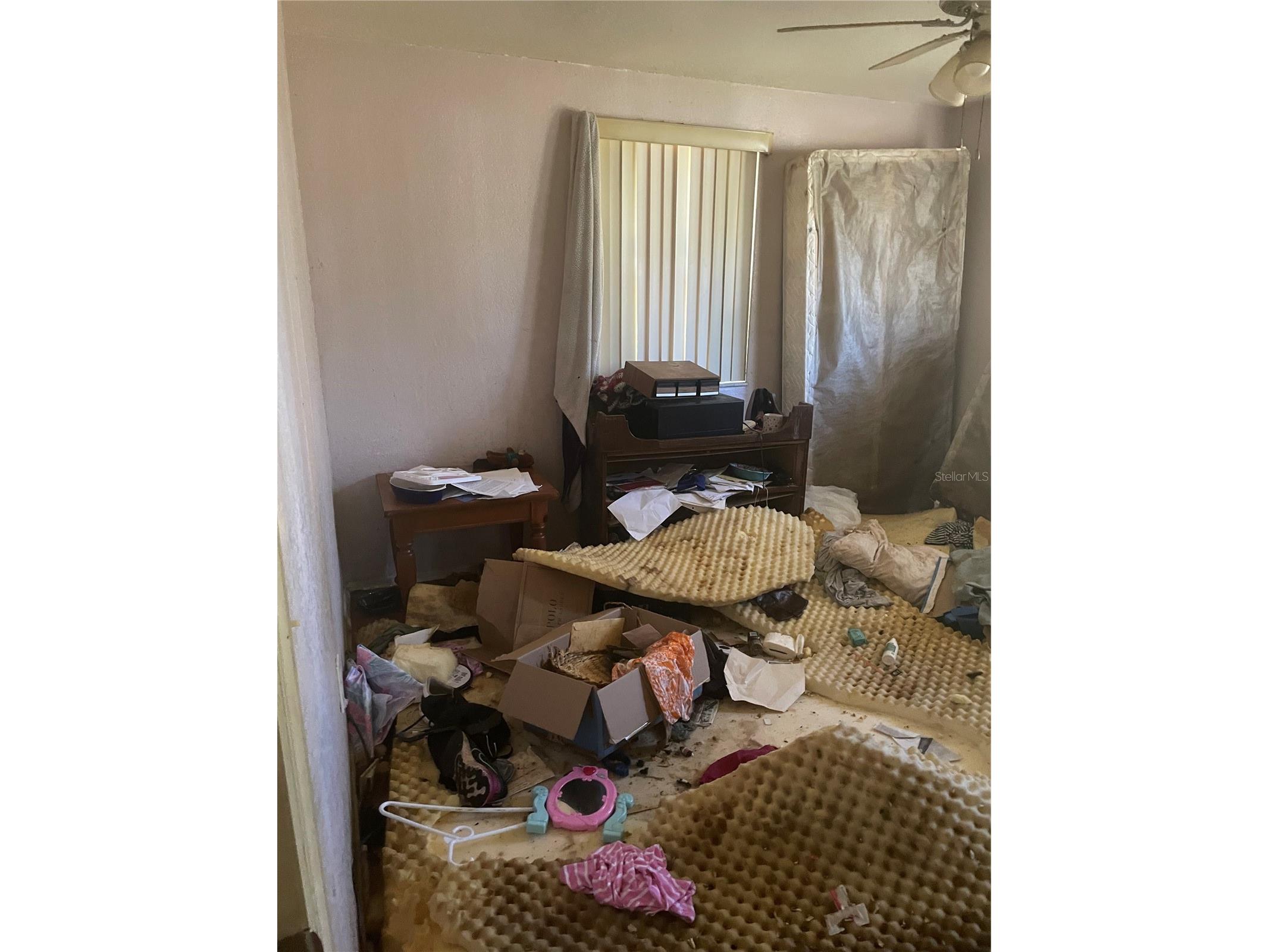 6134 Pinehurst Drive Spring Hill FL 34606 TB8494586 image31