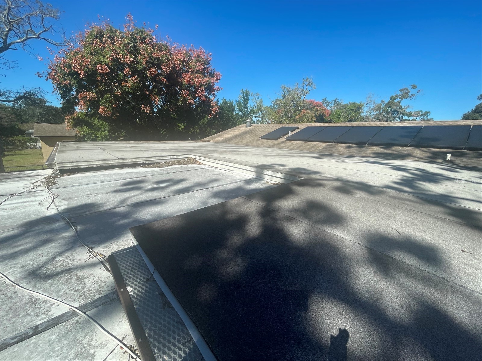 6134 Pinehurst Drive Spring Hill FL 34606 TB8494586 image39