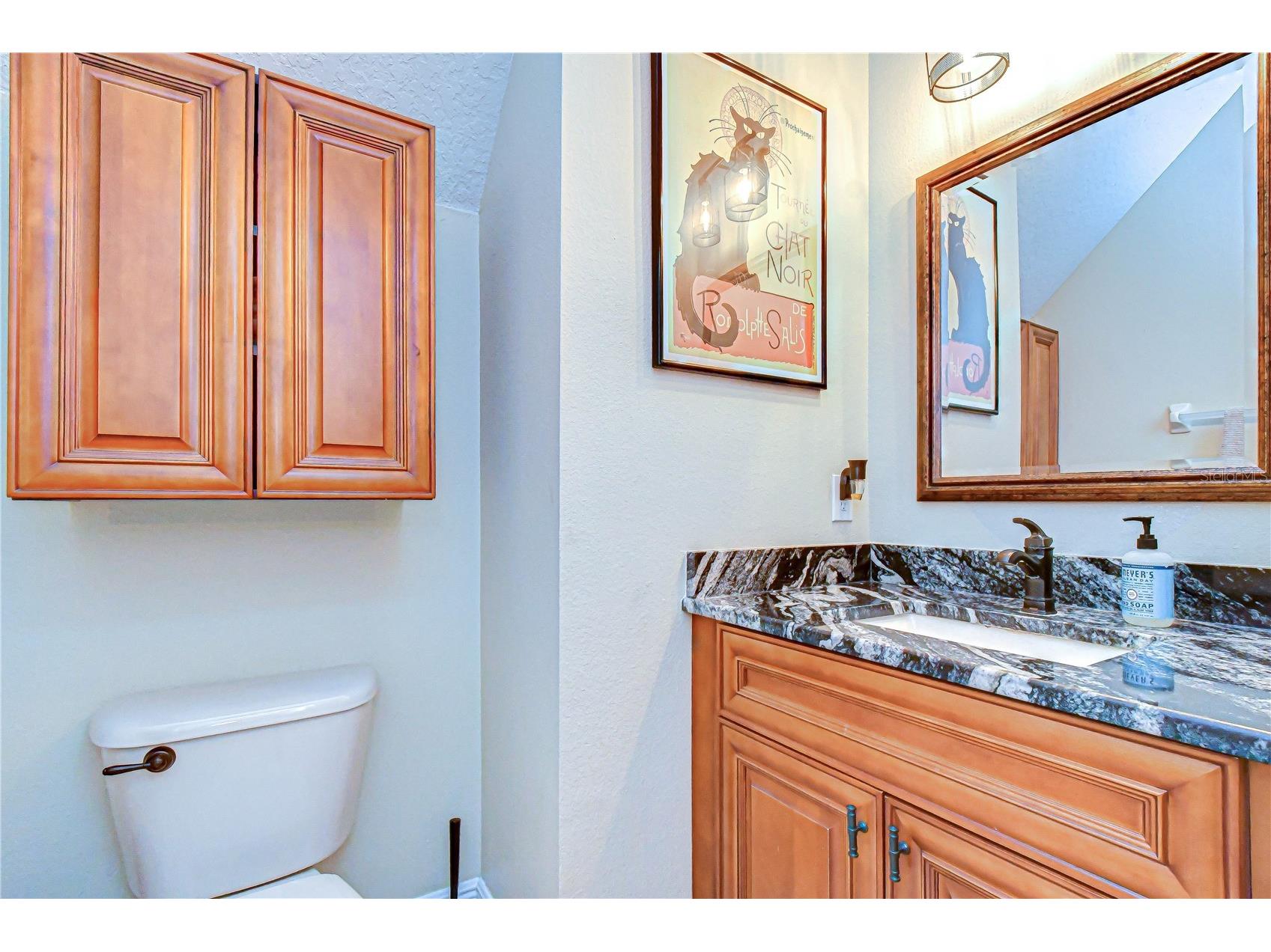 6135 Churchside Drive Lithia FL 33547 TB8513040 image11