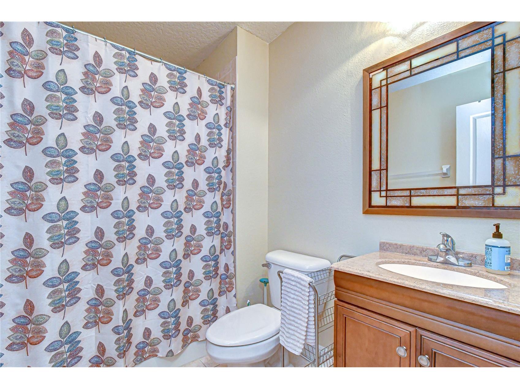 6135 Churchside Drive Lithia FL 33547 TB8513040 image37