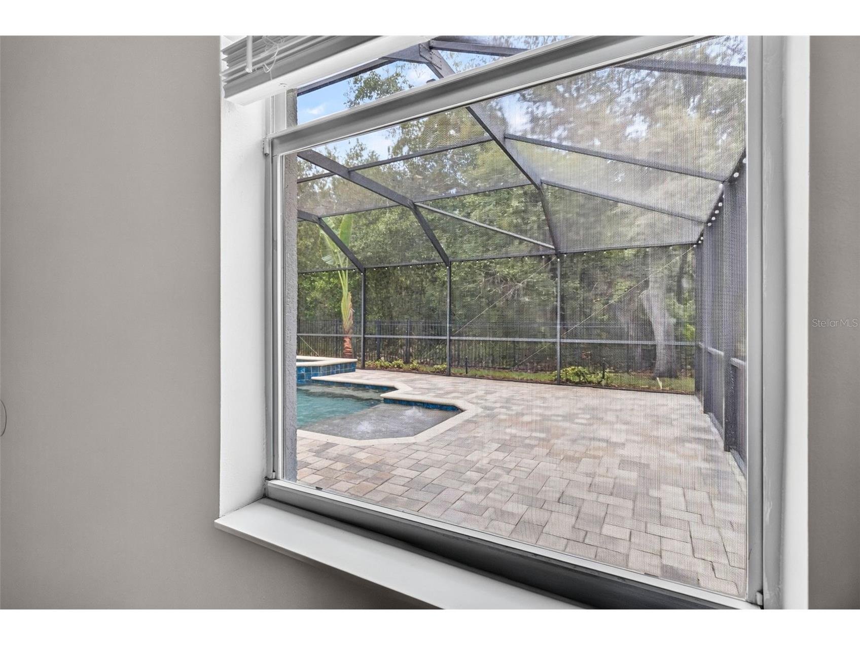 6135 Whimbrelwood Drive Lithia FL 33547 TB8528075 image33