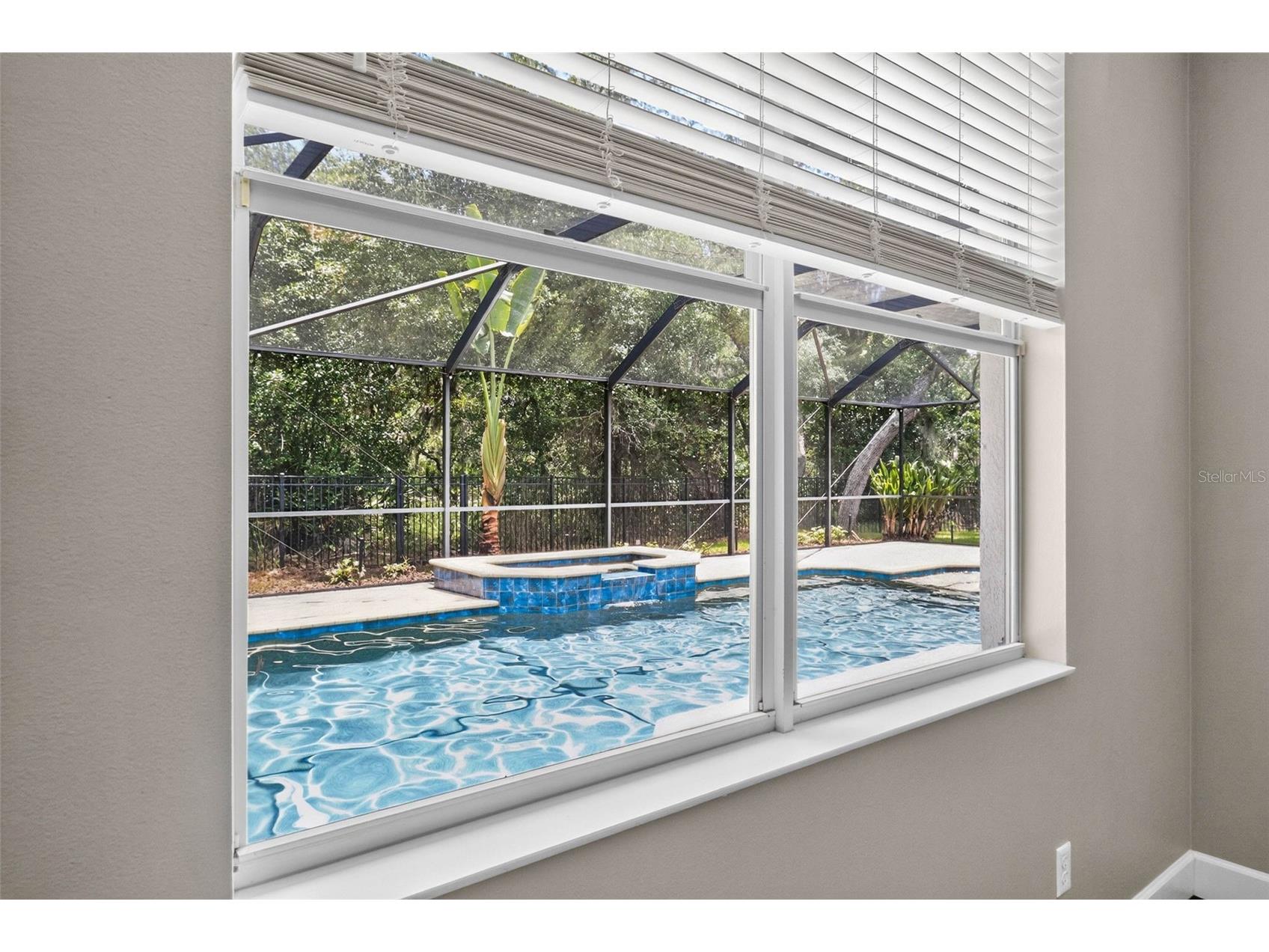 6135 Whimbrelwood Drive Lithia FL 33547 TB8528075 image45