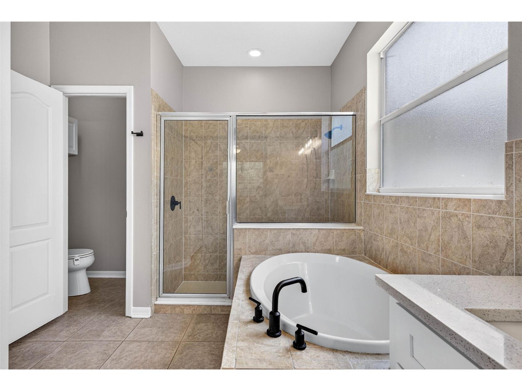 6135 Whimbrelwood Drive Lithia FL 33547 TB8528075 image47