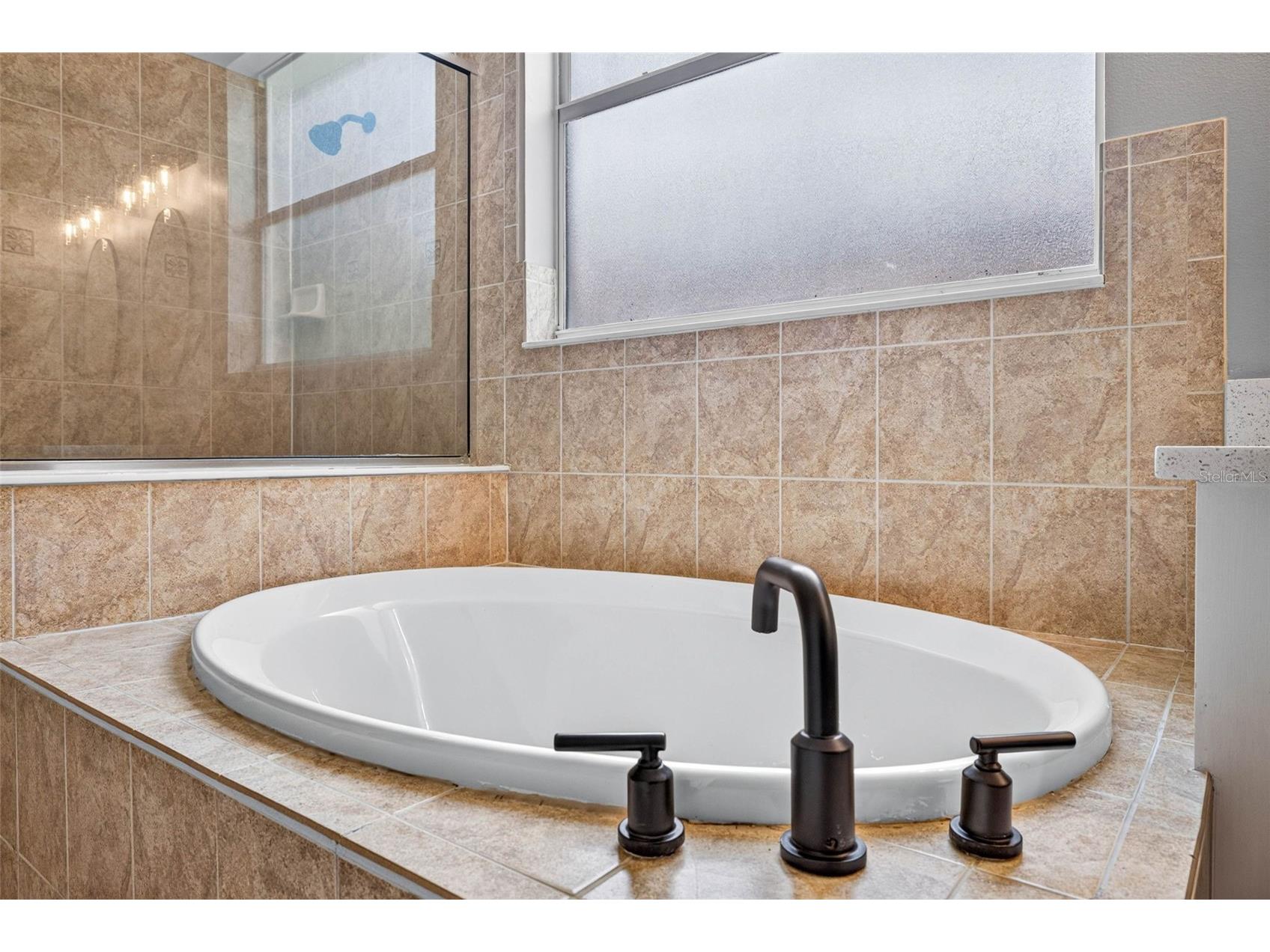 6135 Whimbrelwood Drive Lithia FL 33547 TB8528075 image48