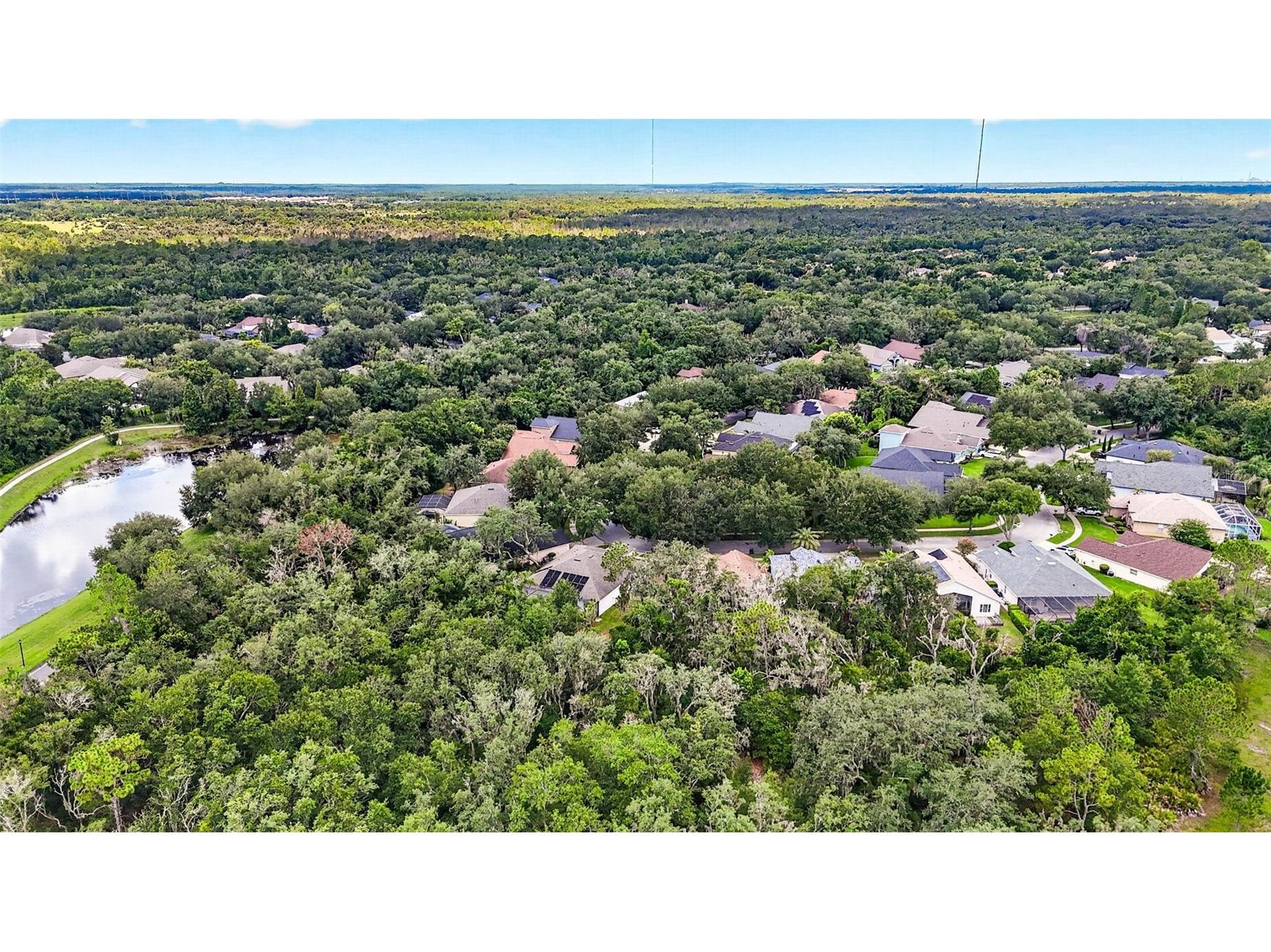 6135 Whimbrelwood Drive Lithia FL 33547 TB8528075 image74