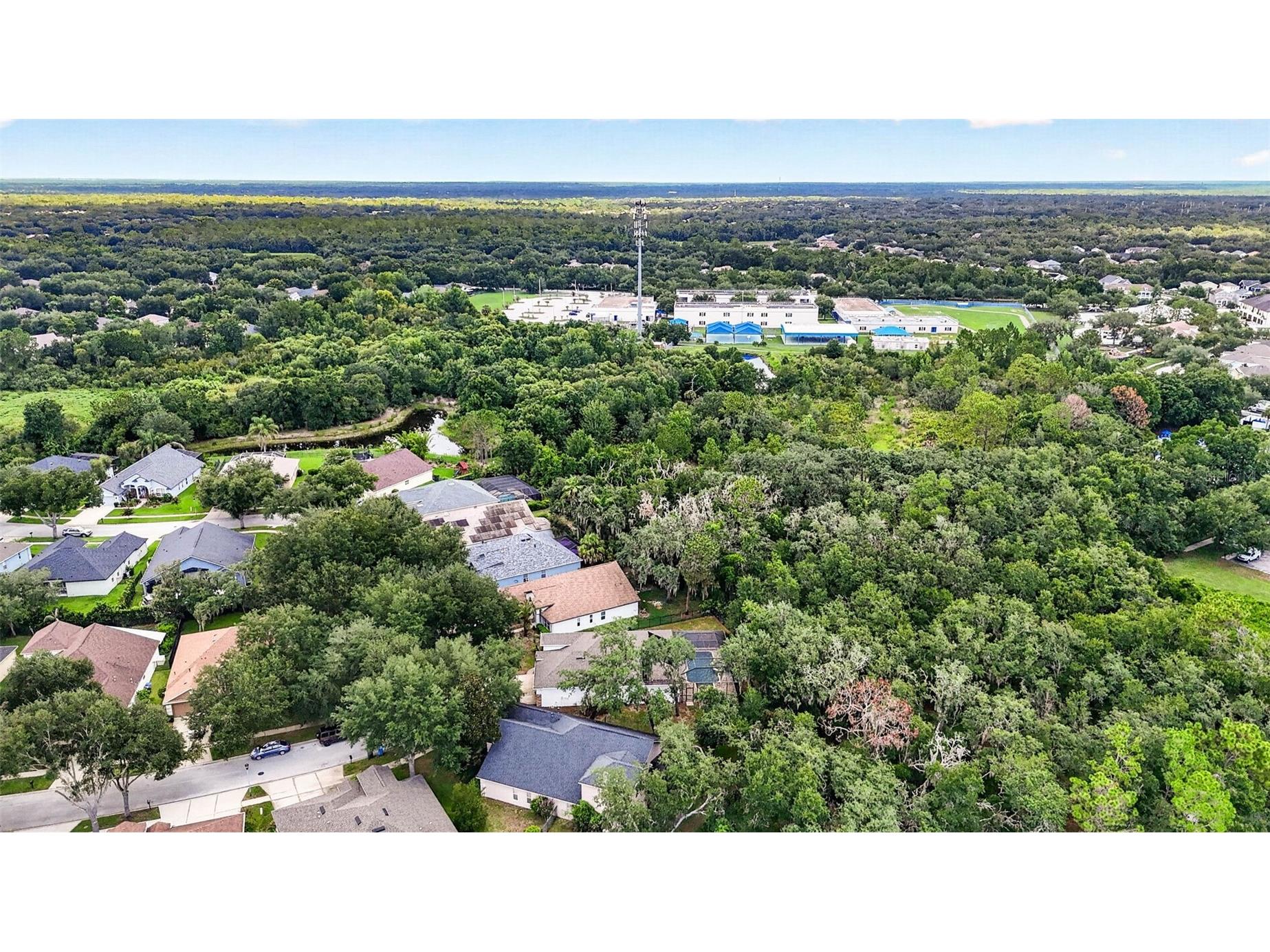 6135 Whimbrelwood Drive Lithia FL 33547 TB8528075 image76