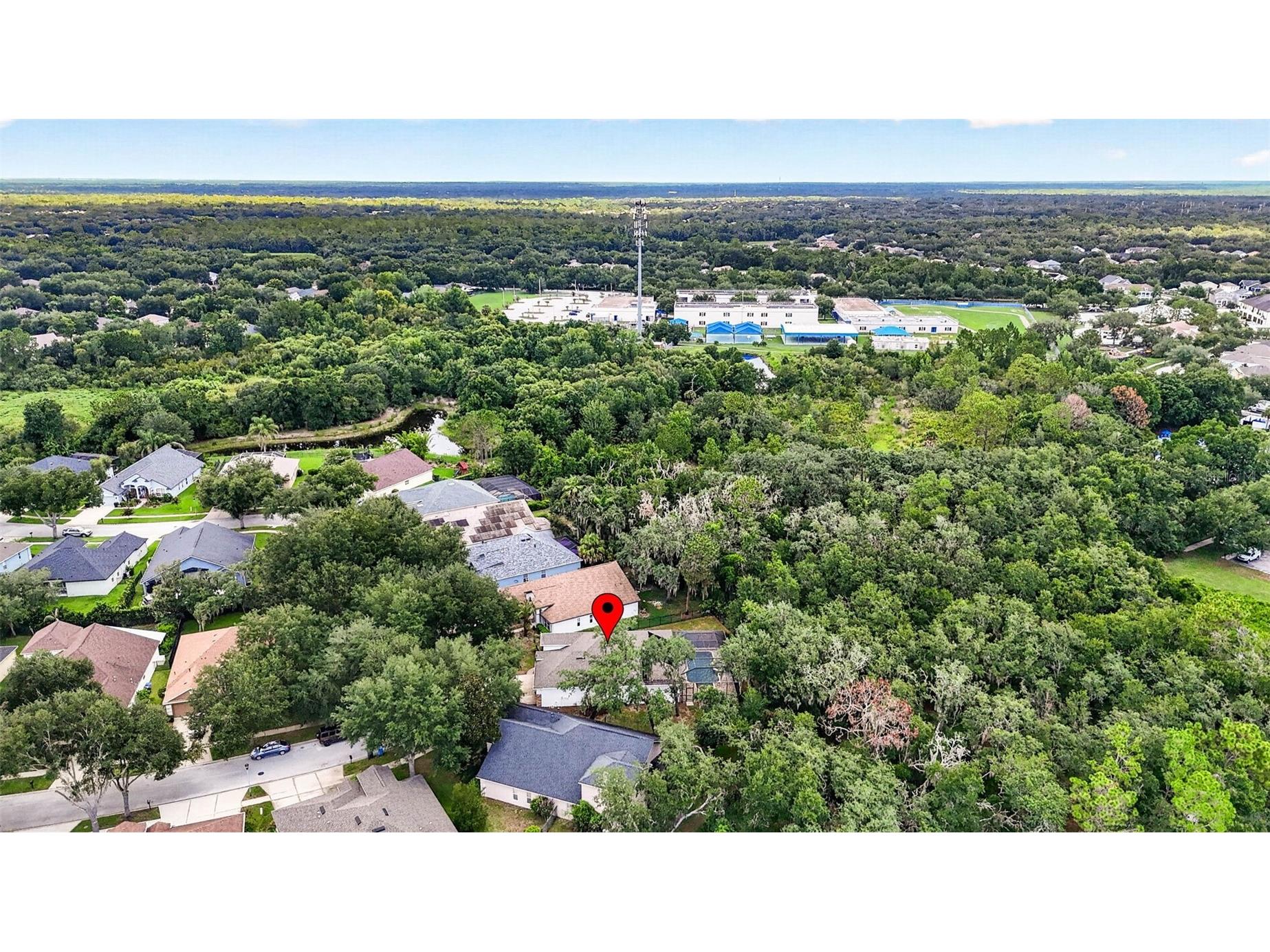 6135 Whimbrelwood Drive Lithia FL 33547 TB8528075 image77