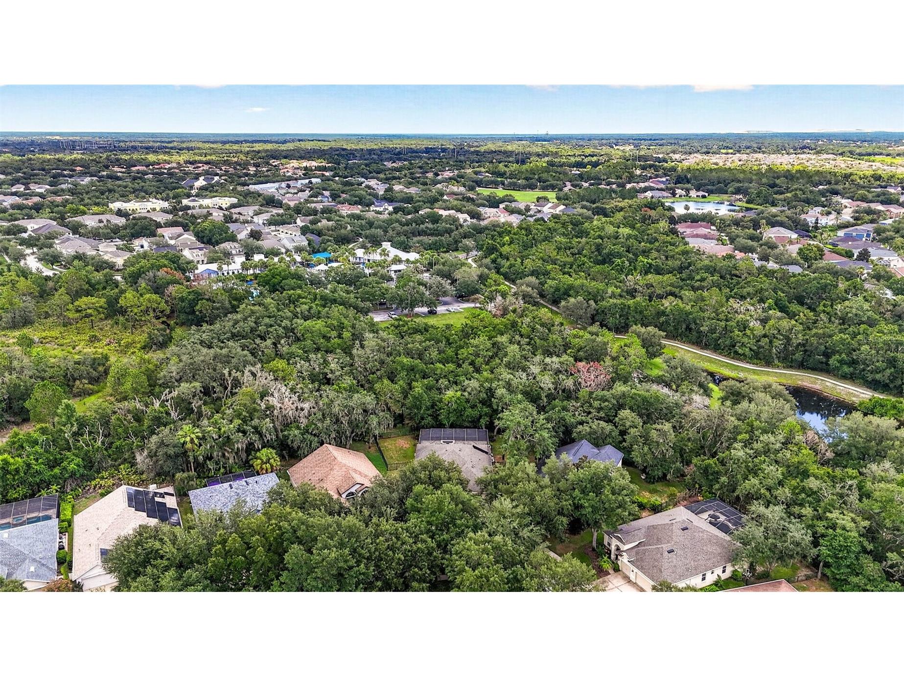 6135 Whimbrelwood Drive Lithia FL 33547 TB8528075 image78