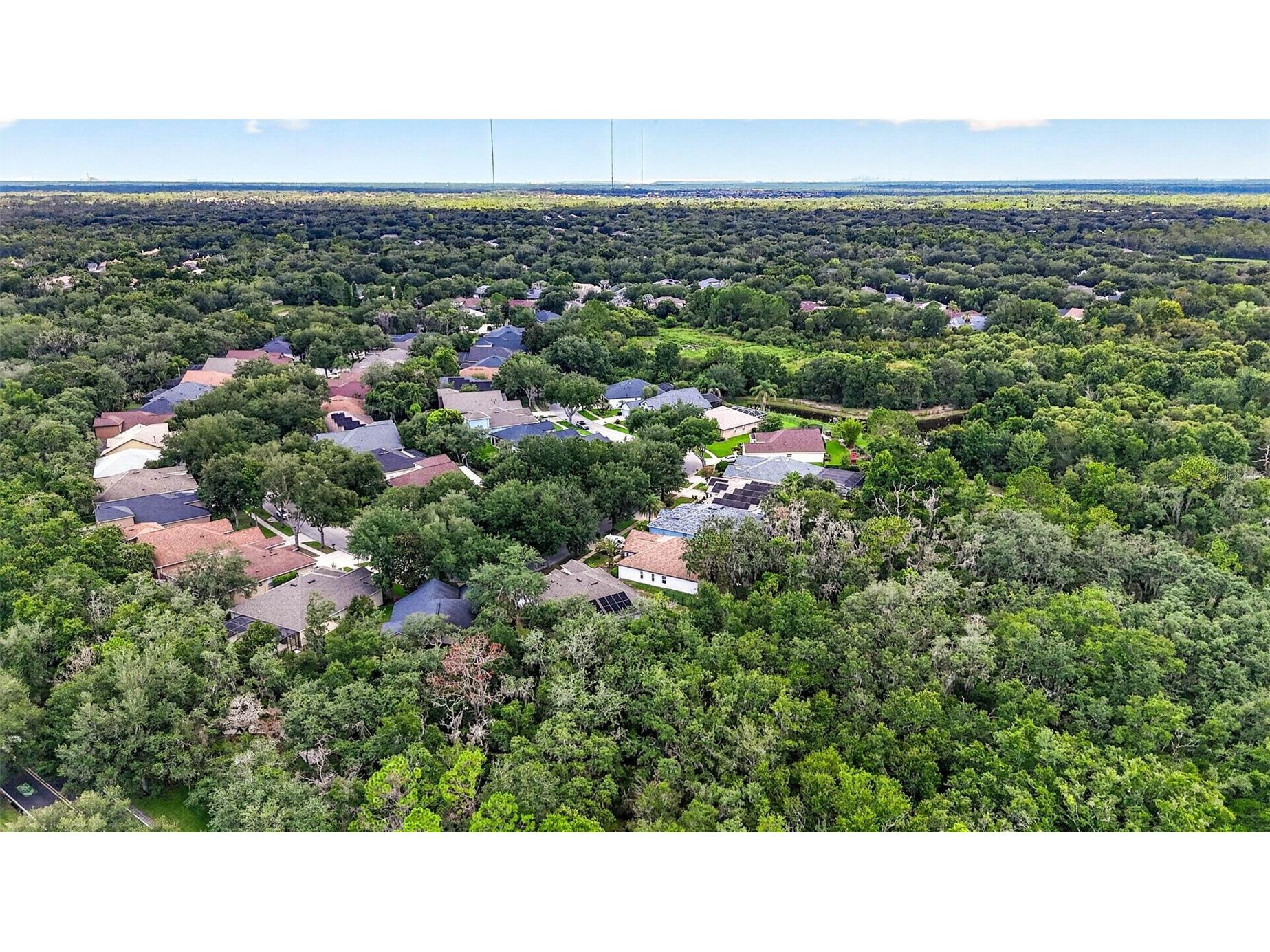 6135 Whimbrelwood Drive Lithia FL 33547 TB8528075 image80