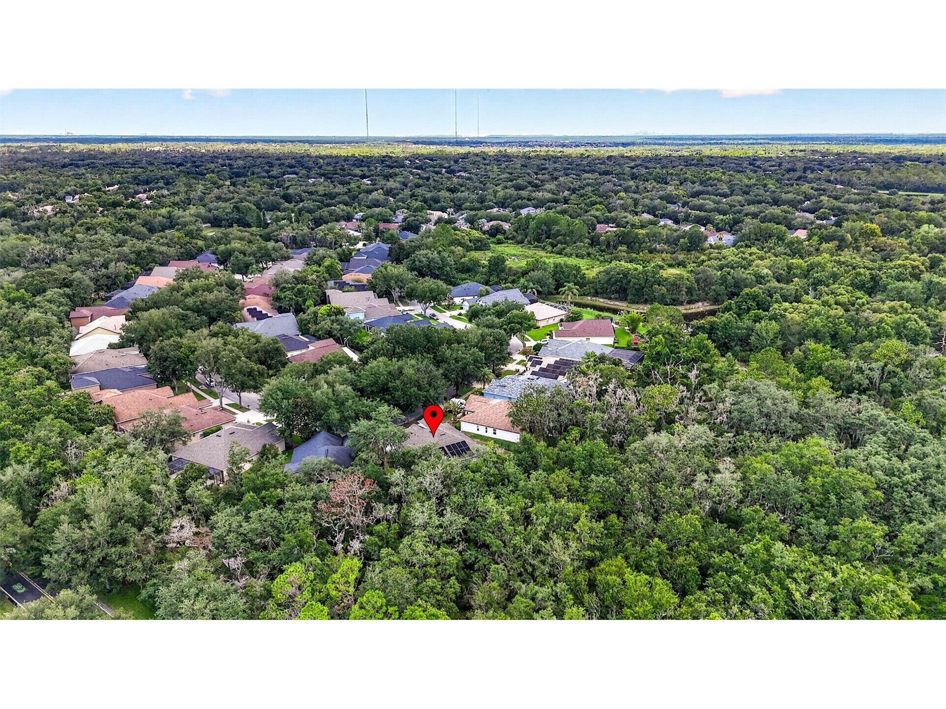 6135 Whimbrelwood Drive Lithia FL 33547 TB8528075 image81