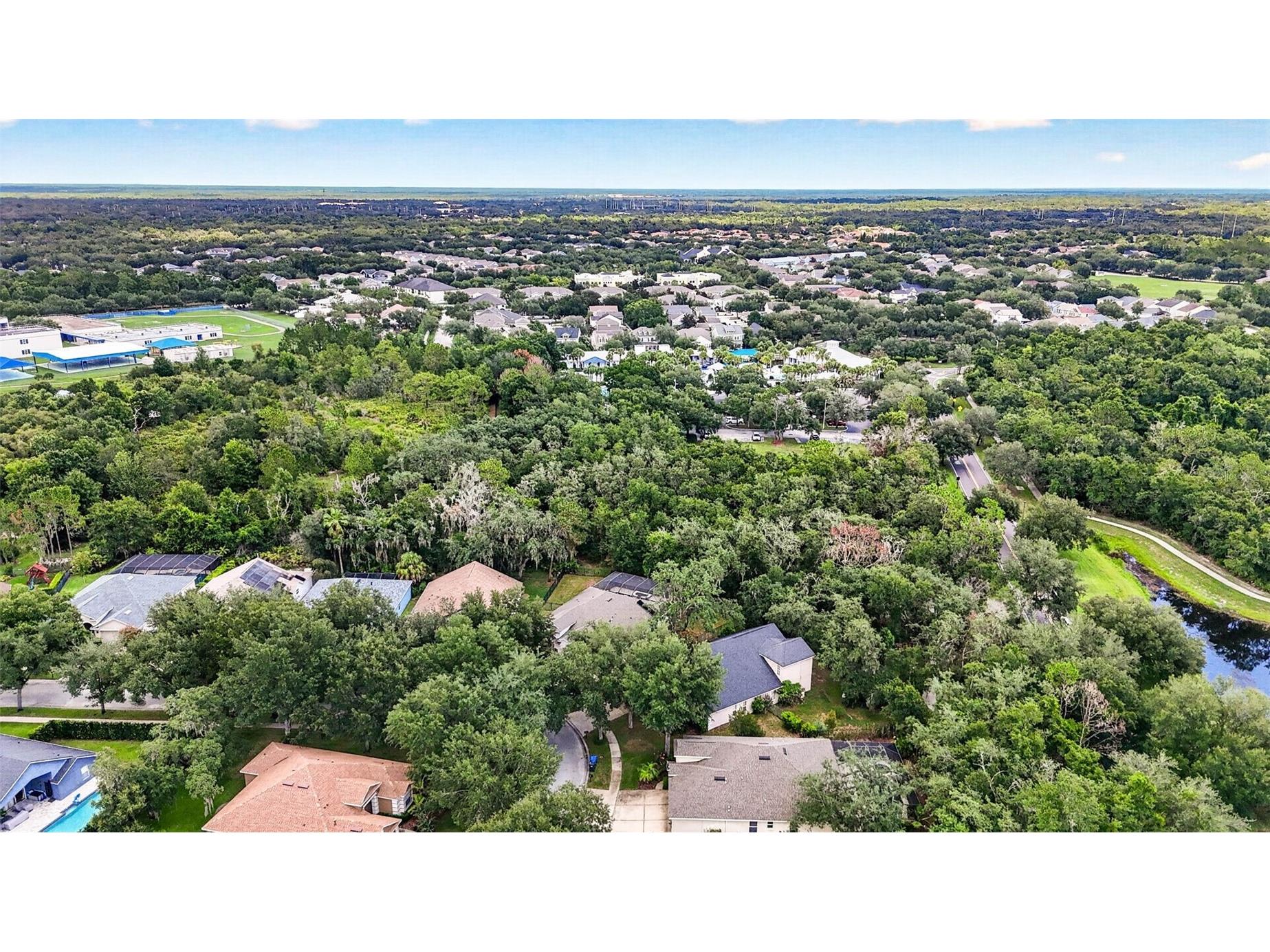 6135 Whimbrelwood Drive Lithia FL 33547 TB8528075 image82
