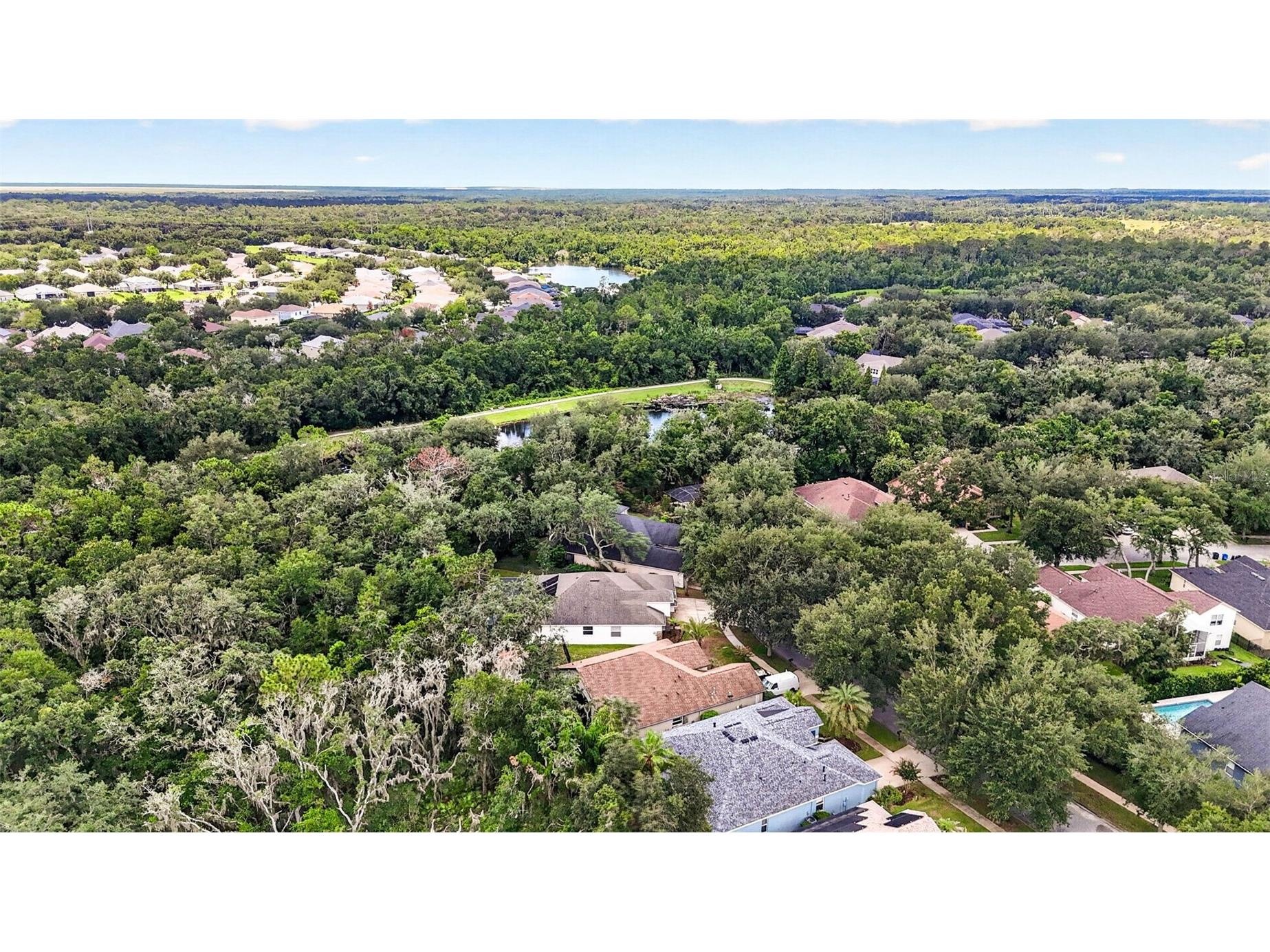 6135 Whimbrelwood Drive Lithia FL 33547 TB8528075 image84