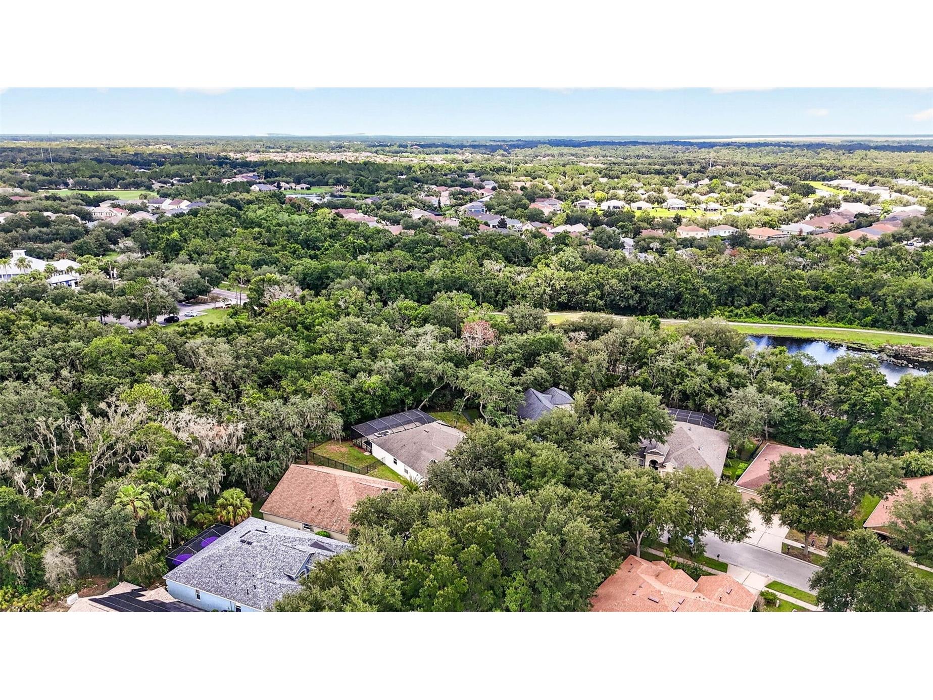 6135 Whimbrelwood Drive Lithia FL 33547 TB8528075 image86