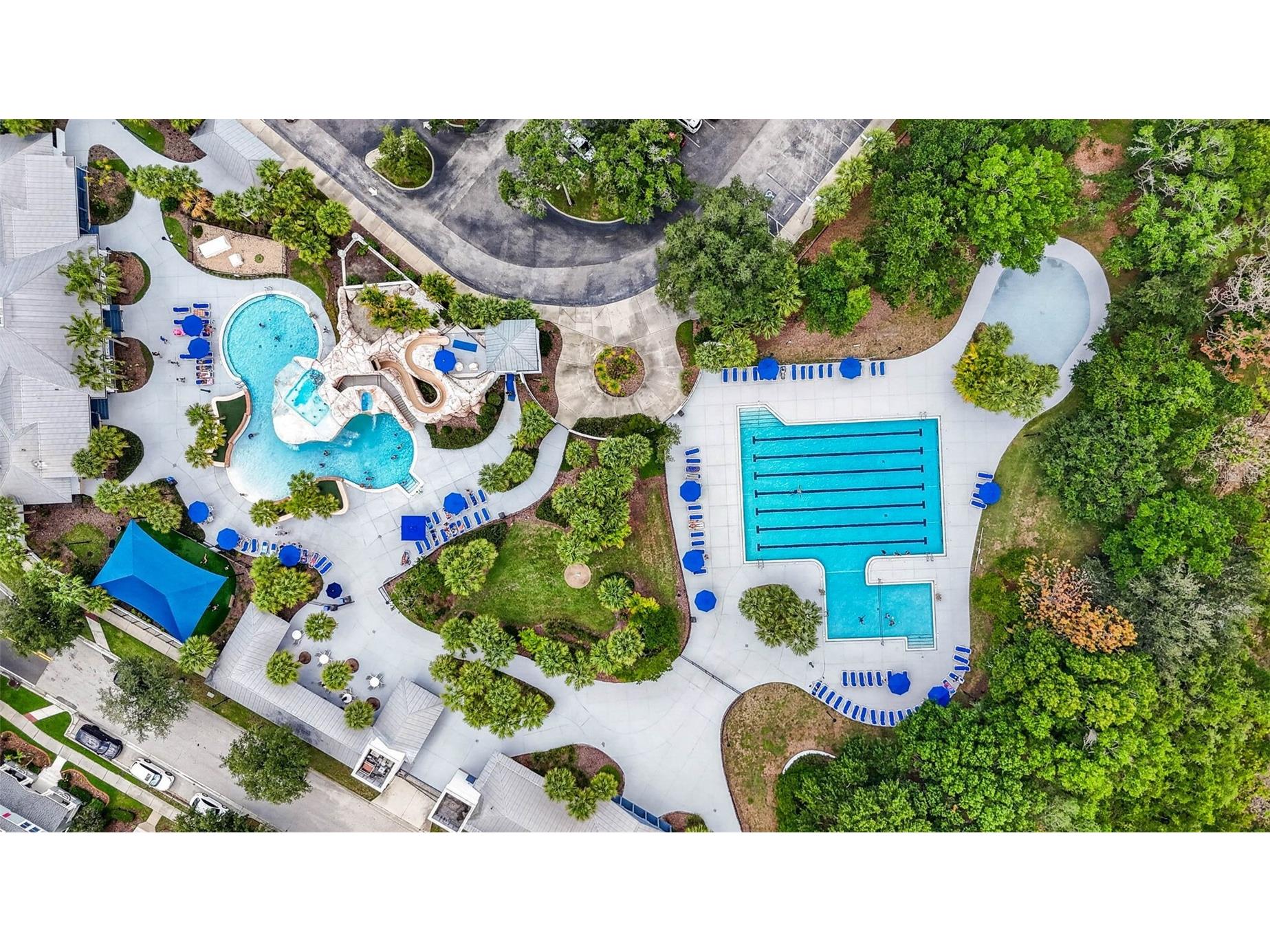 6135 Whimbrelwood Drive Lithia FL 33547 TB8528075 image88