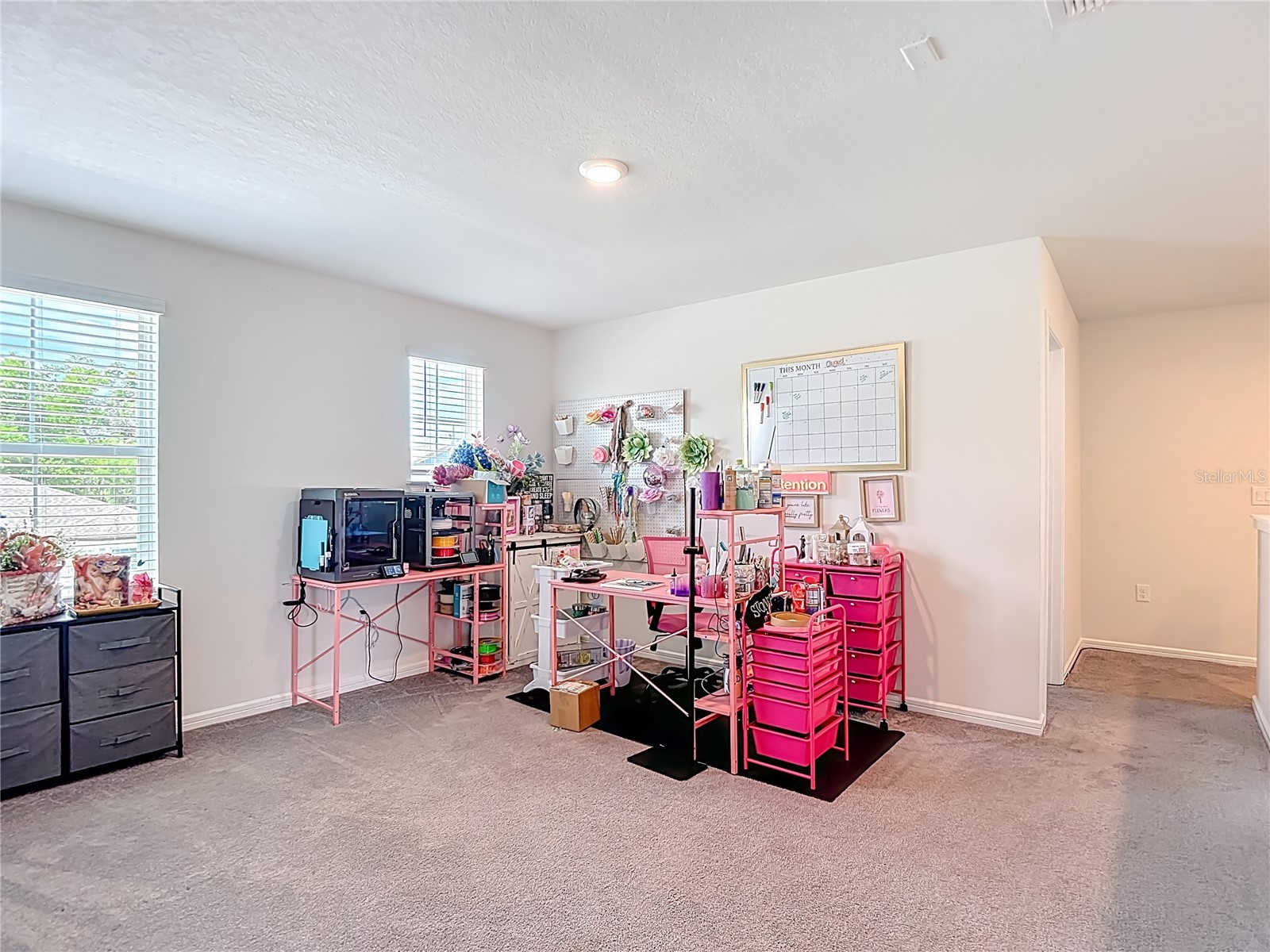6136 Bradford Woods Drive Zephyrhills FL 33542 TB8498615 image12