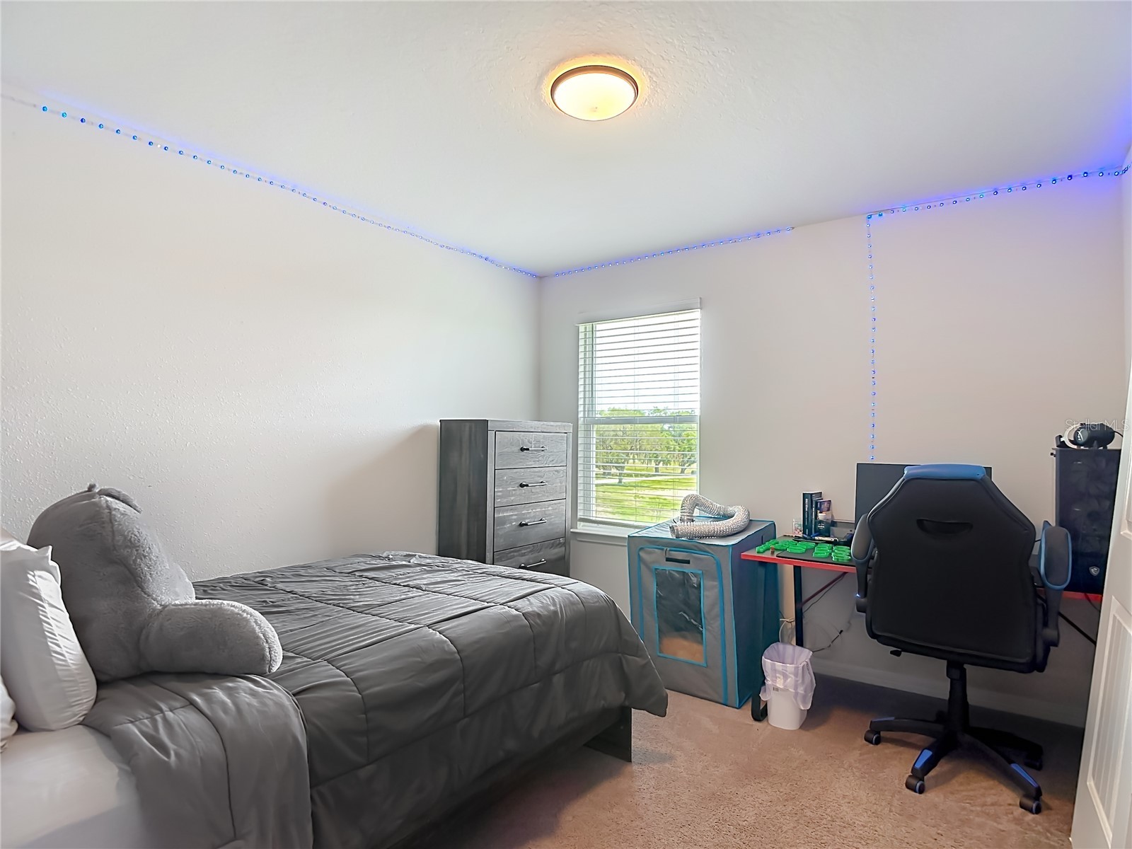 6136 Bradford Woods Drive Zephyrhills FL 33542 TB8498615 image18