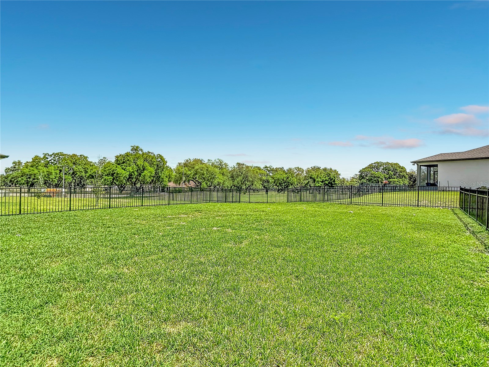 6136 Bradford Woods Drive Zephyrhills FL 33542 TB8498615 image24