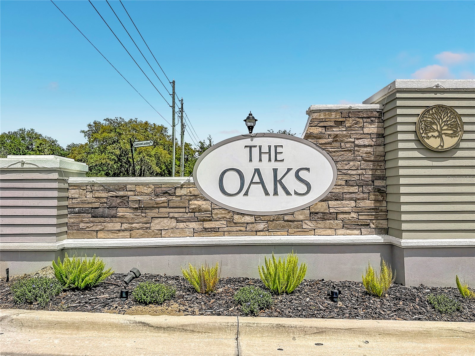 6136 Bradford Woods Drive Zephyrhills FL 33542 TB8498615 image25