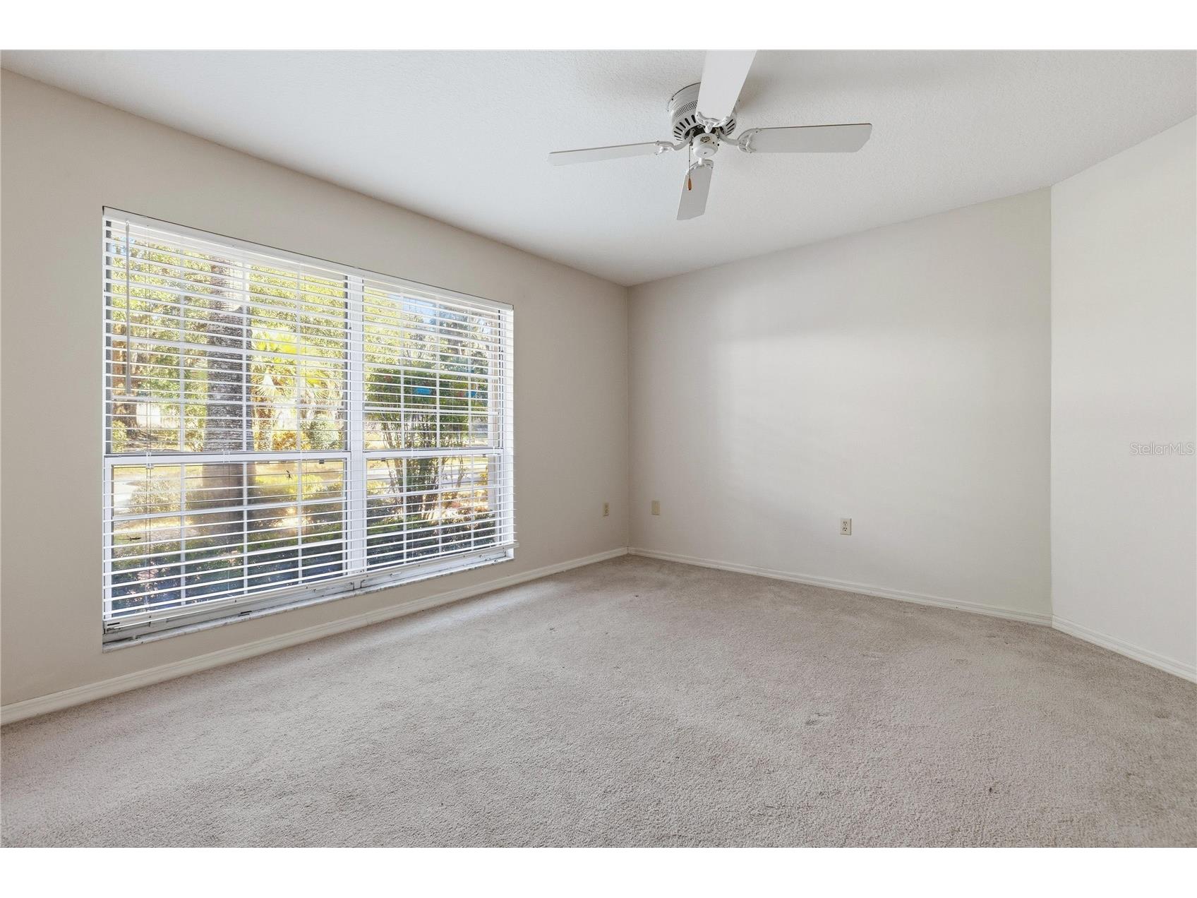 6136 Dora Drive Mount Dora FL 32757 - LAKE DORA O6382730 image29