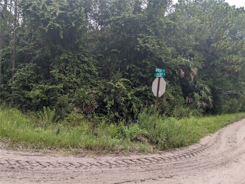 6136 NW Cherry Lane Bunnell FL 32110 FC292525 image1