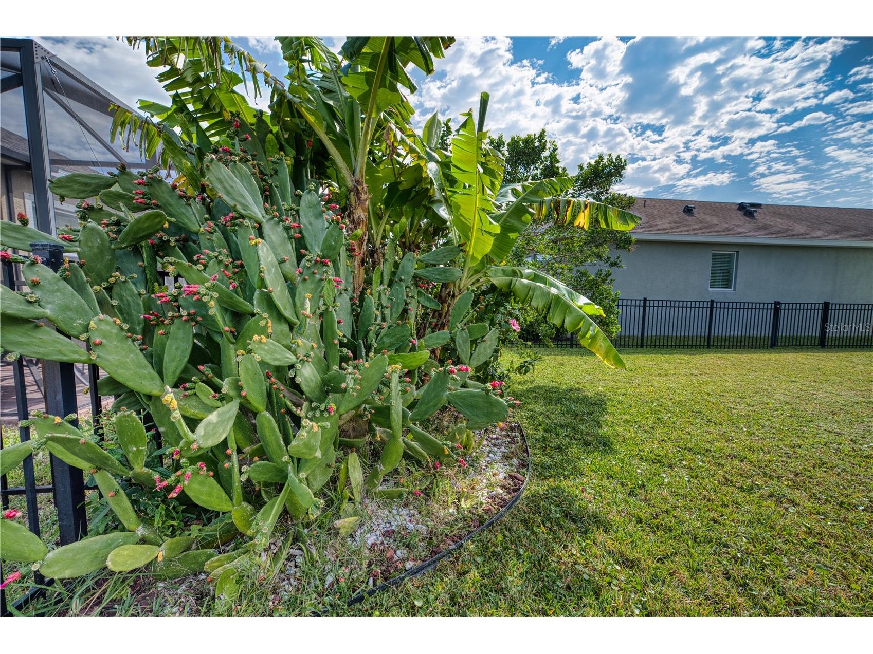 6136 Voyagers Place Apollo Beach FL 33572 TB8532247 image8