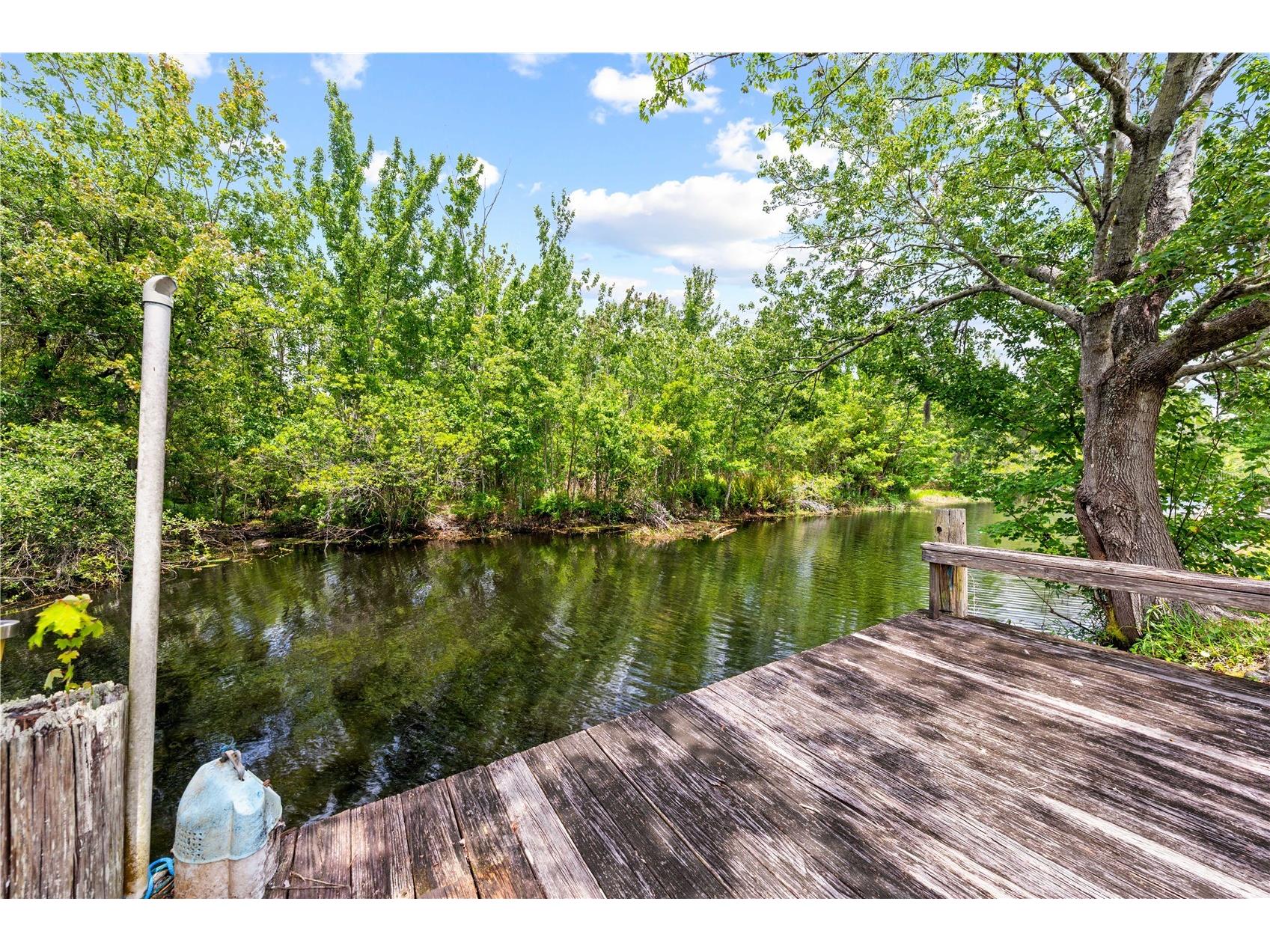 6137 Bass Highway Saint Cloud FL 34771 - ALLIGATOR CHAIN OF LAKES S5147872 image12