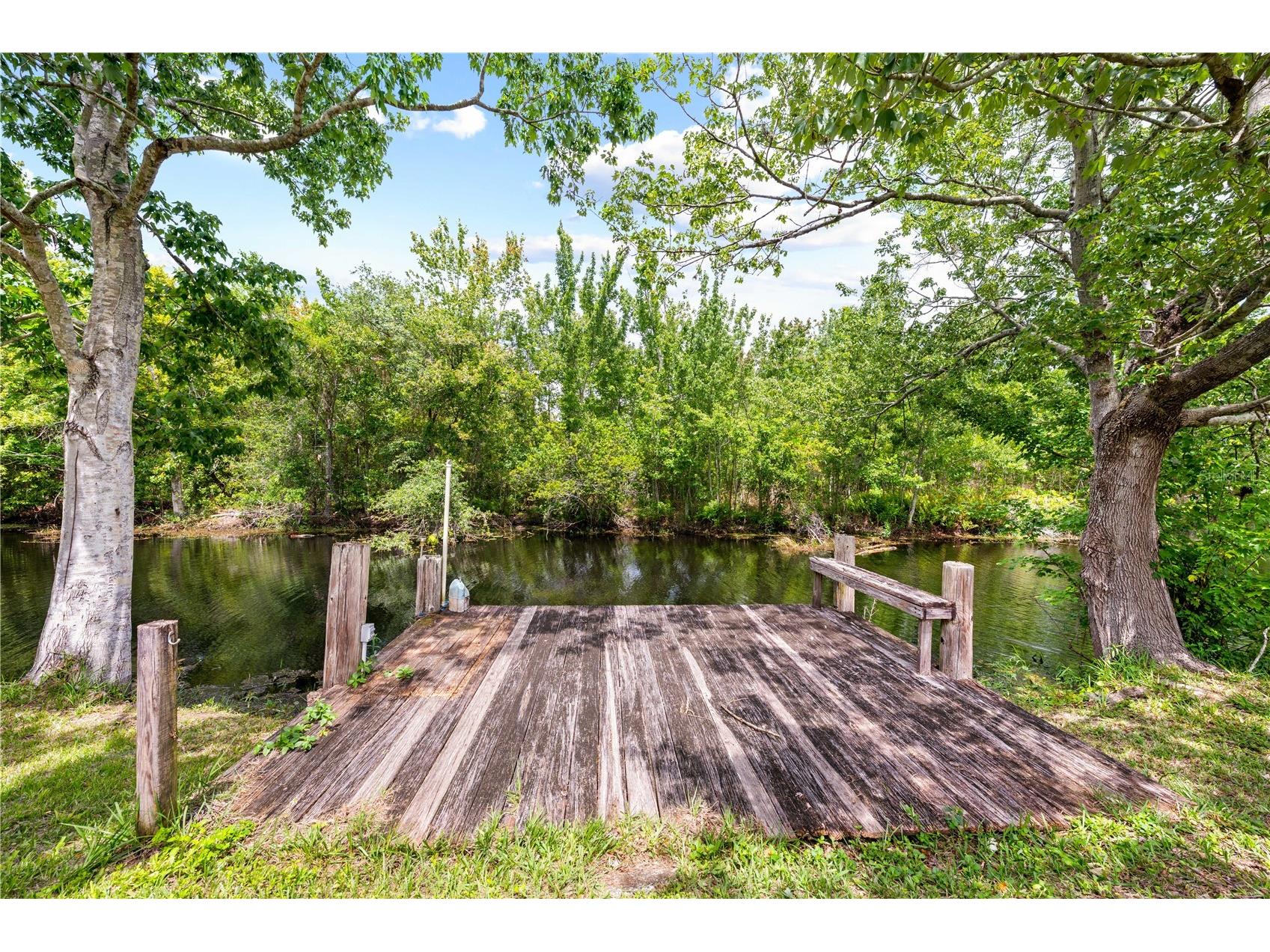 6137 Bass Highway Saint Cloud FL 34771 - ALLIGATOR CHAIN OF LAKES S5147872 image13